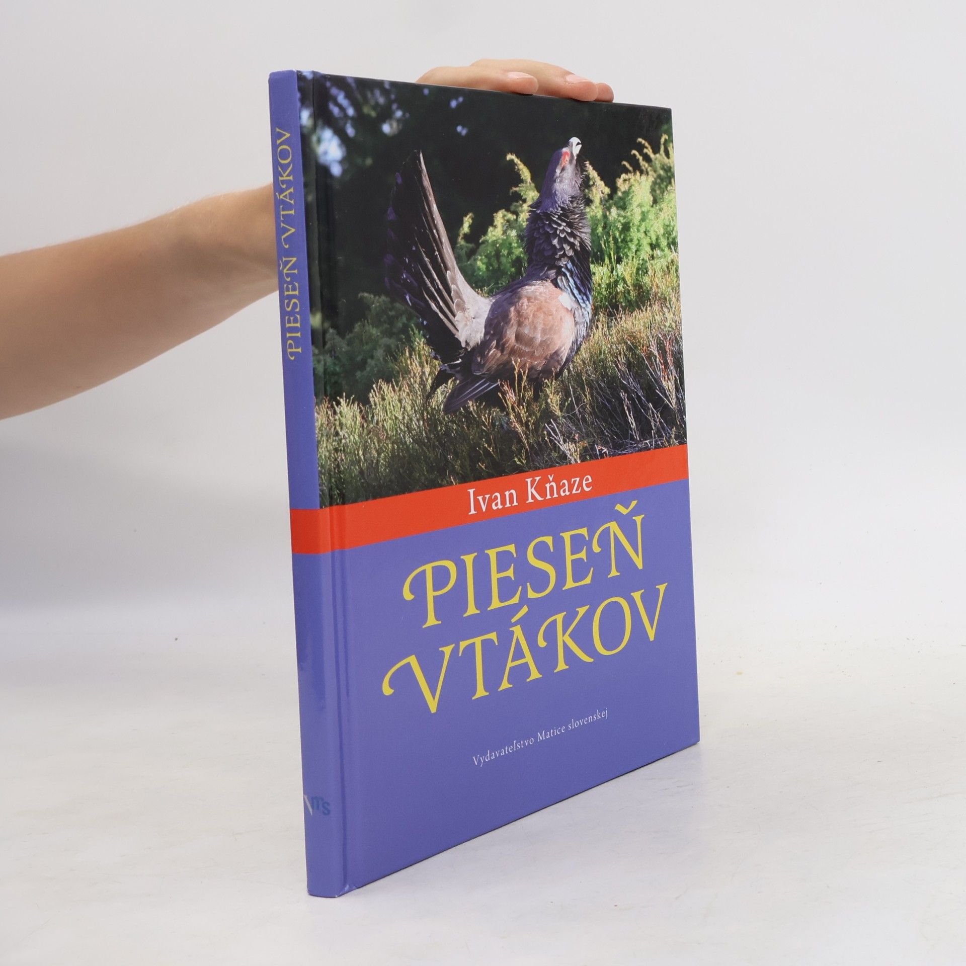 Ivan Kňaze Pieseň vtákov
