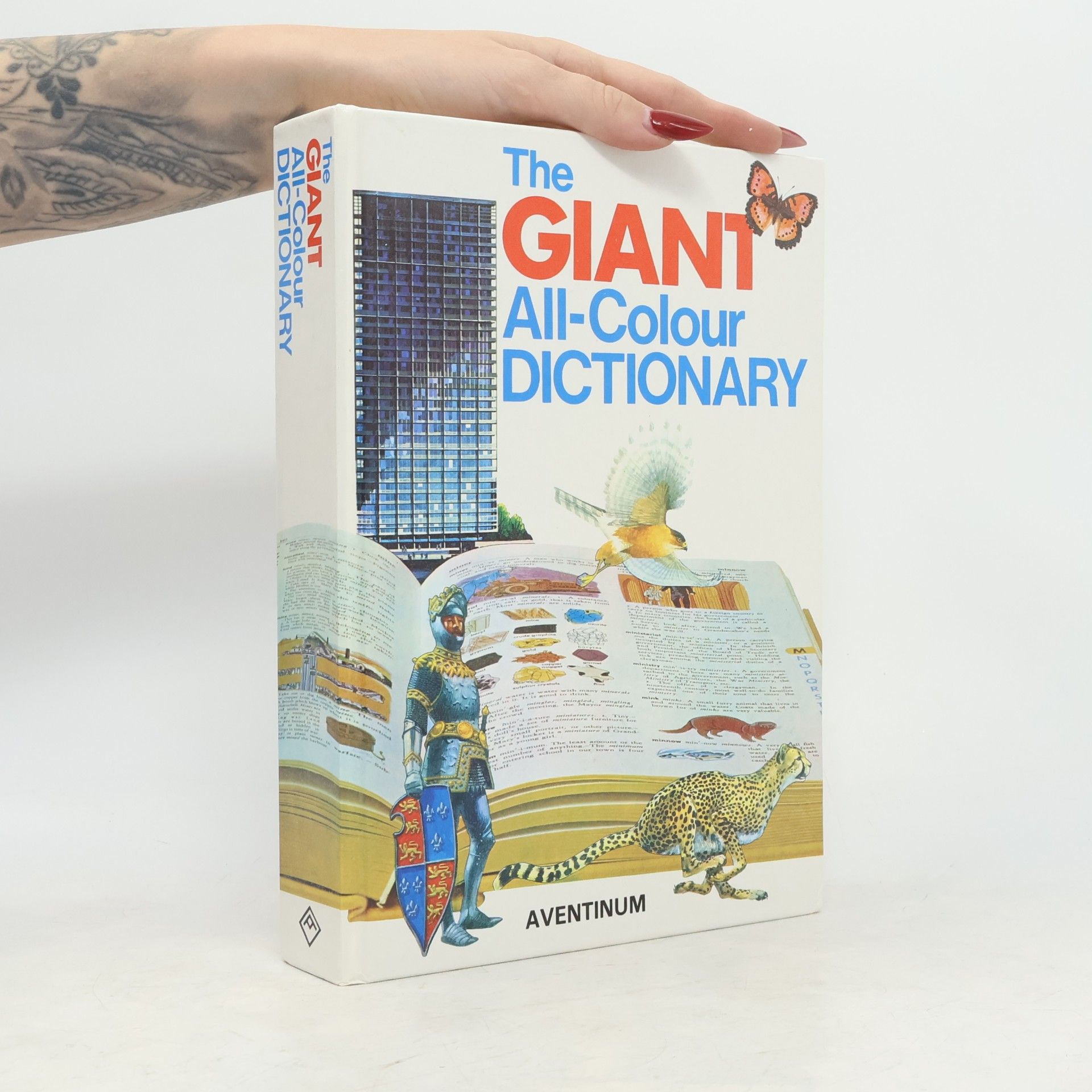 Stuart A. Courtis The Giant All-Colour Dictionary