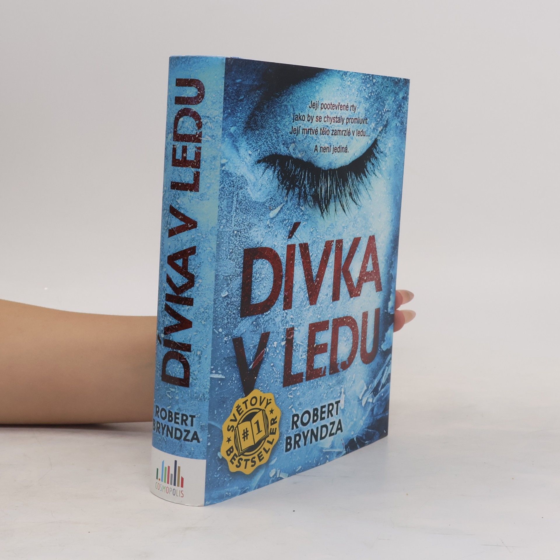 Robert Bryndza Dívka v ledu