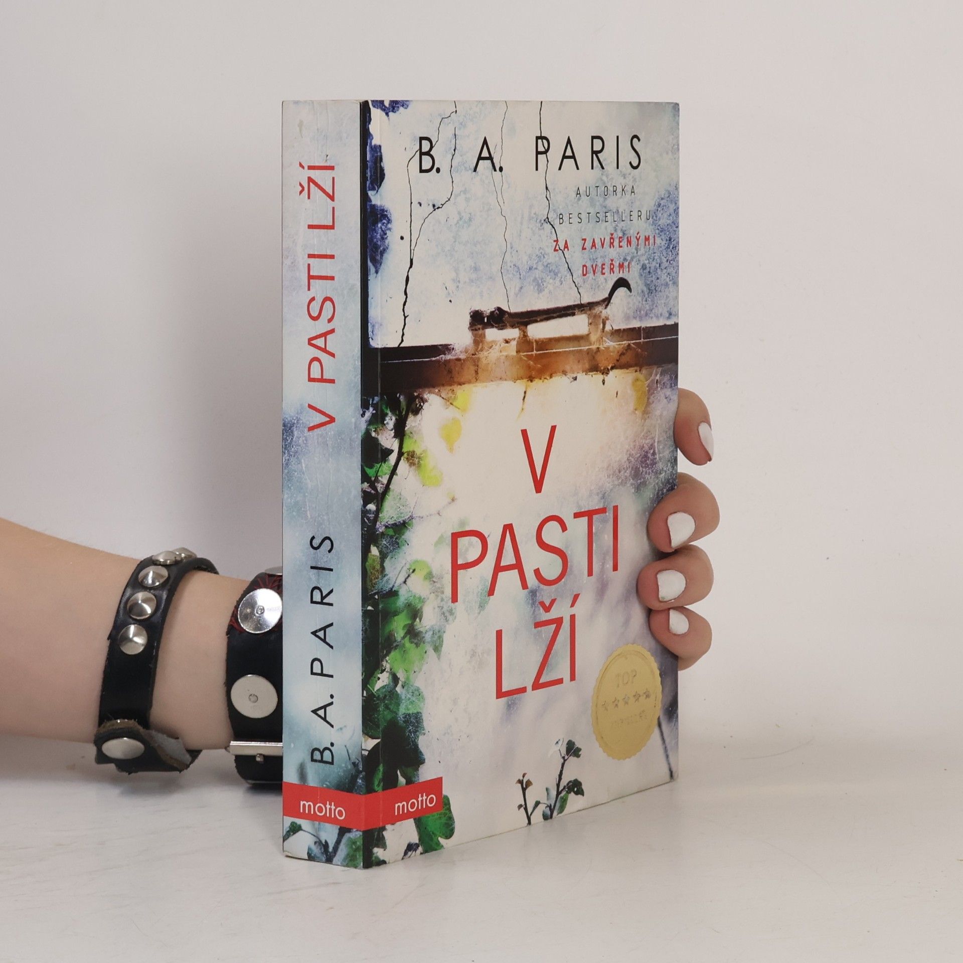 B. A. Paris V pasti lží