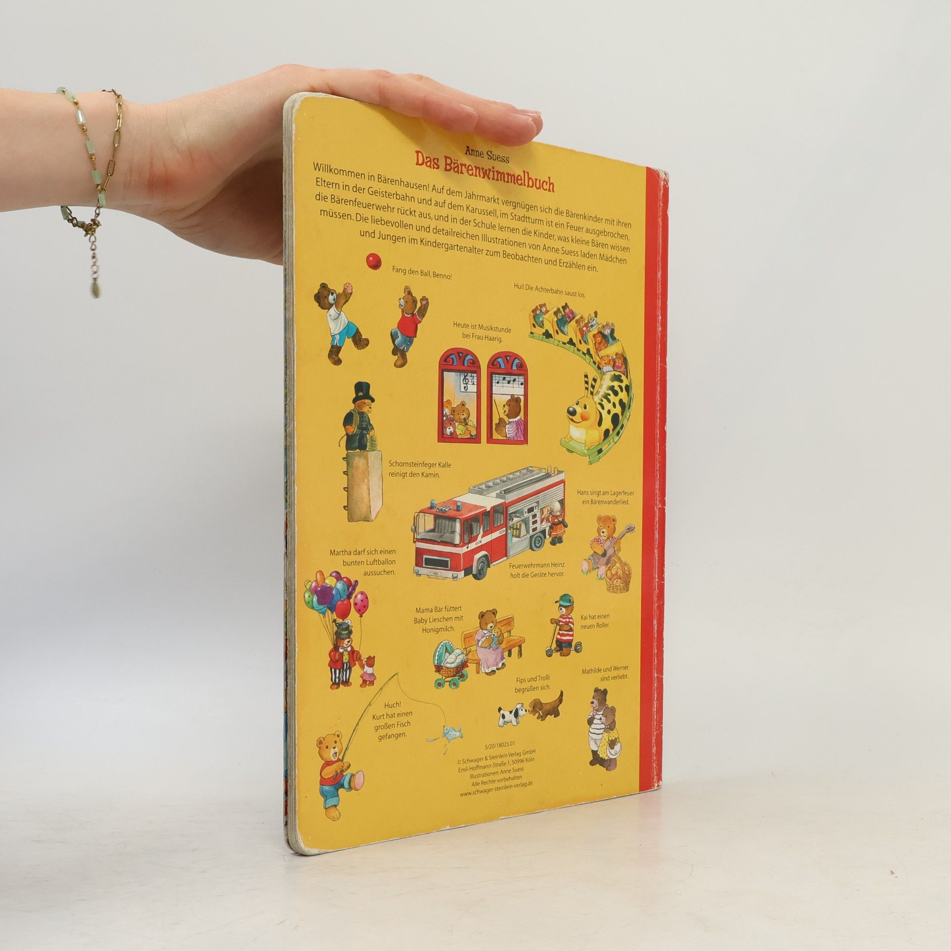 Anne Suess Das Bären Wimmelbuch