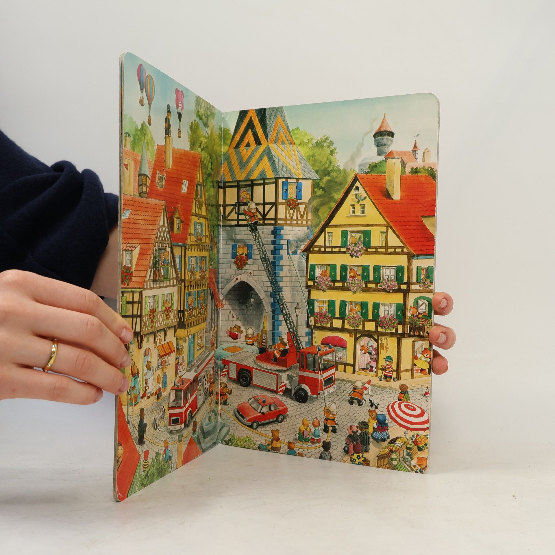 Anne Suess Das Bären Wimmelbuch