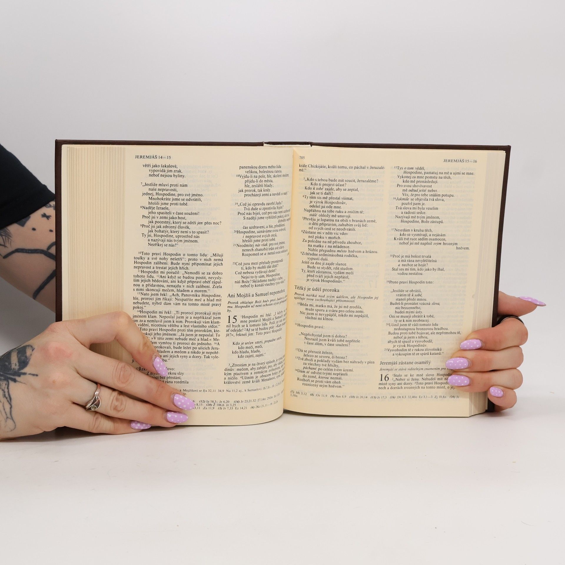 kolektiv Bible. Písmo svaté Starého a Nového Zákona. Ekumenický překlad