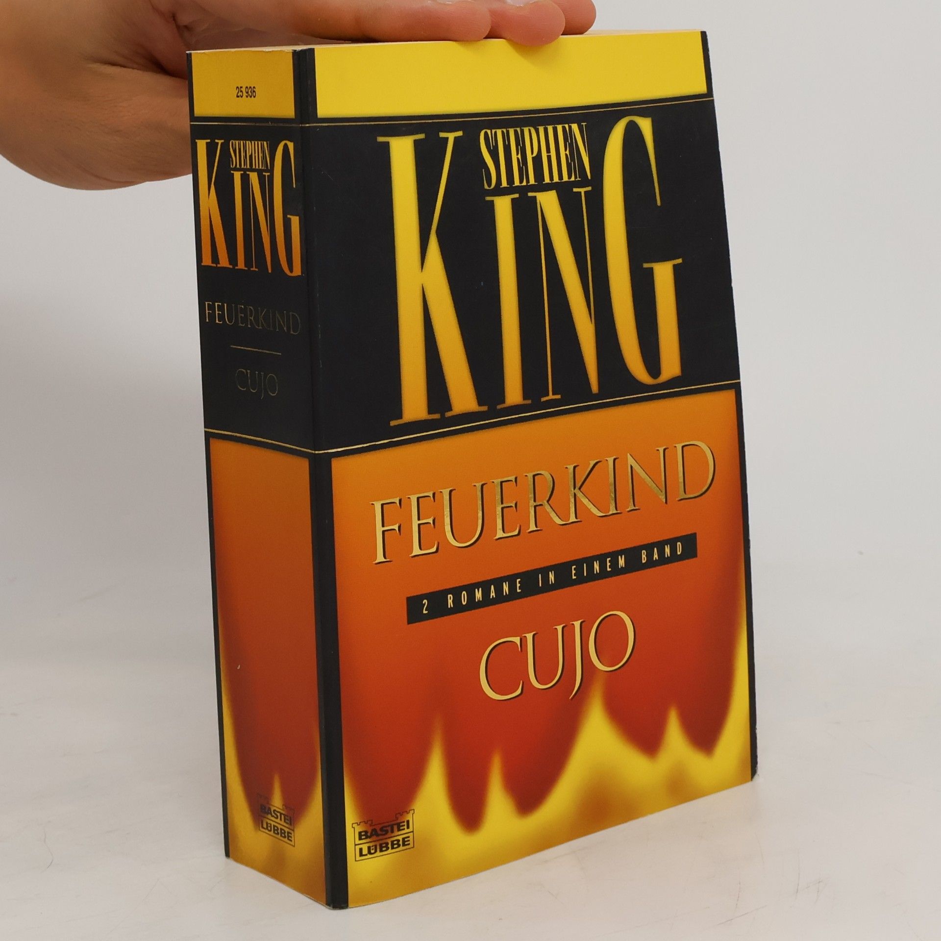 Stephen King Feuerkind. Cujo. Zwei Romane in einem Band