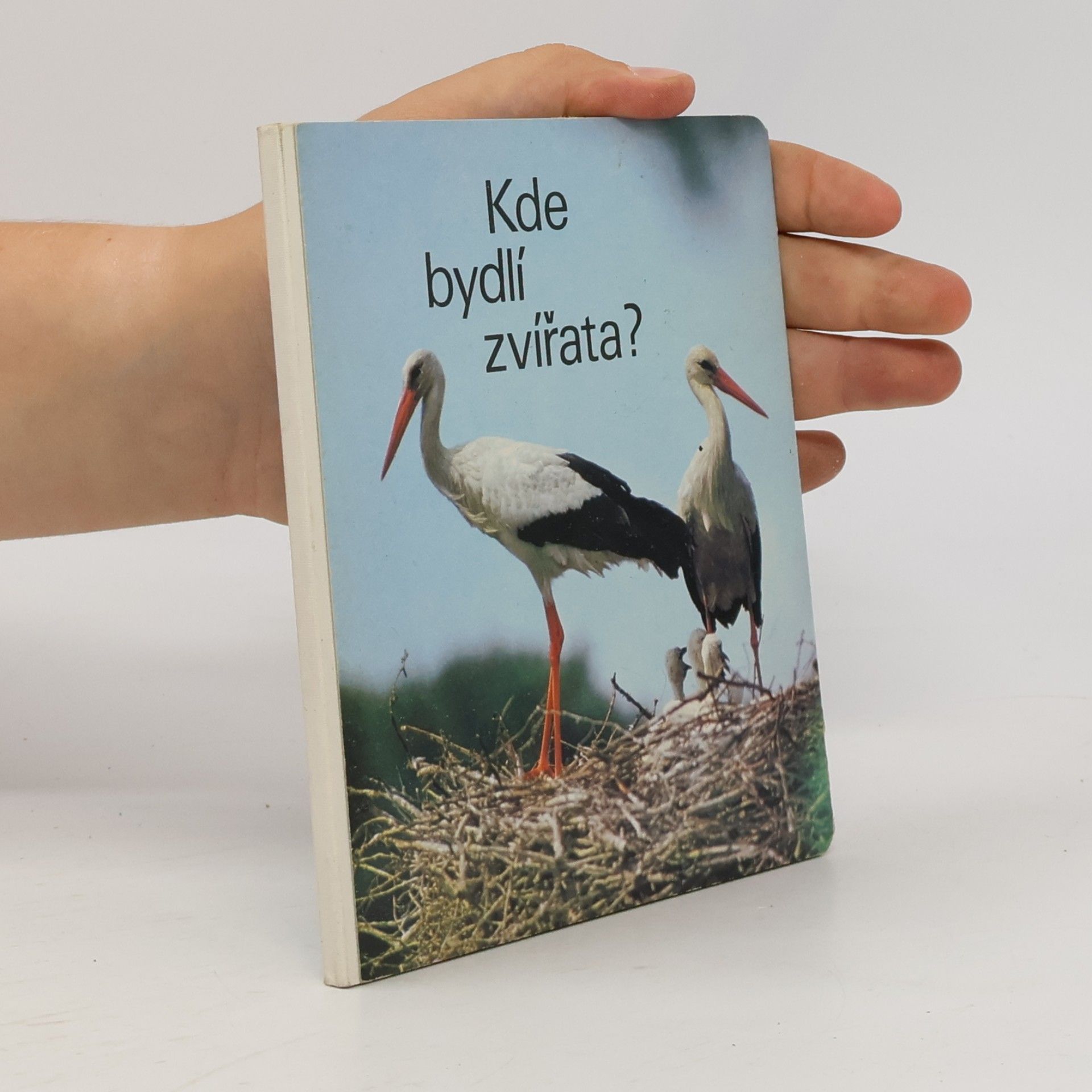 Autores varios Kde bydlí zvířata?