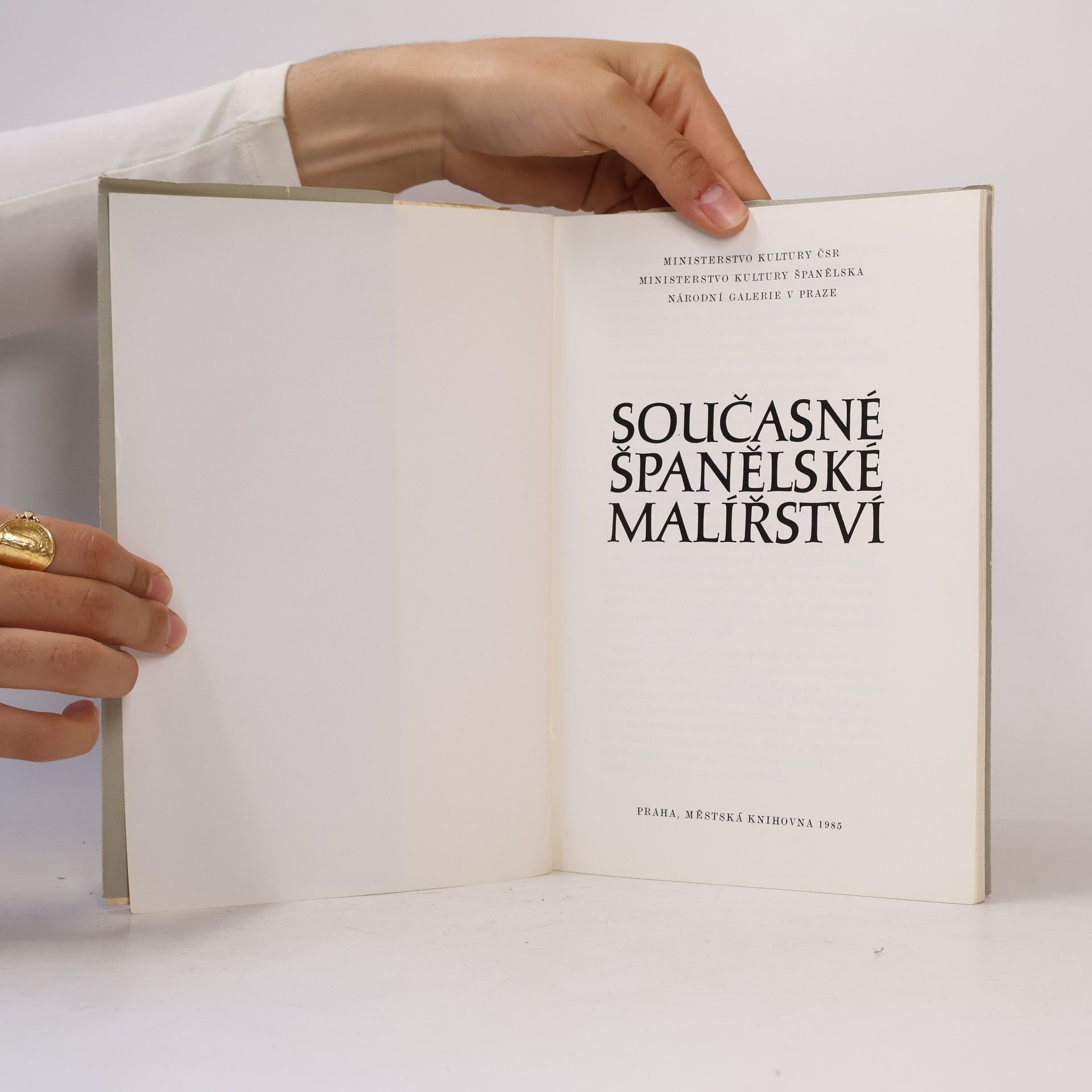 Juan Manuel Bonet Současné španělské malířství