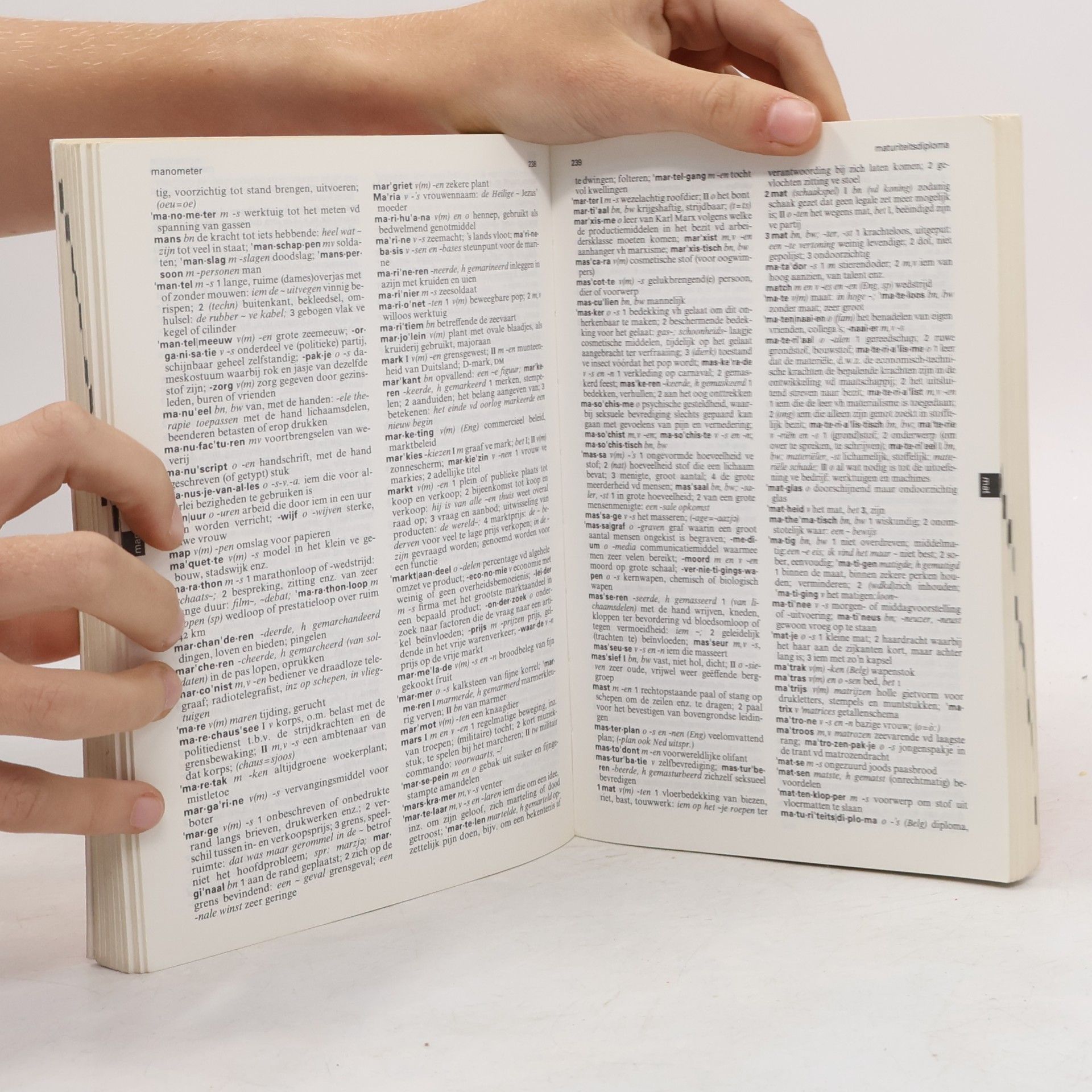 kolektiv Wolters' ster woordenboek Nederlands