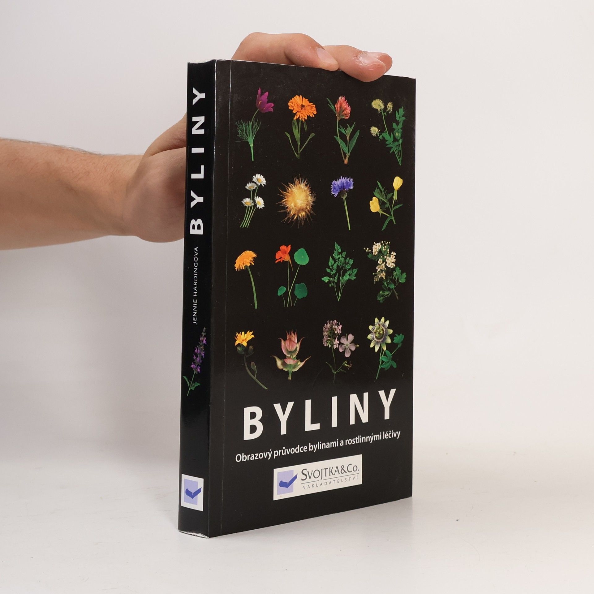 Jennie Harding Byliny: Obrazový průvodce bylinami a rostlinnými léčivy
