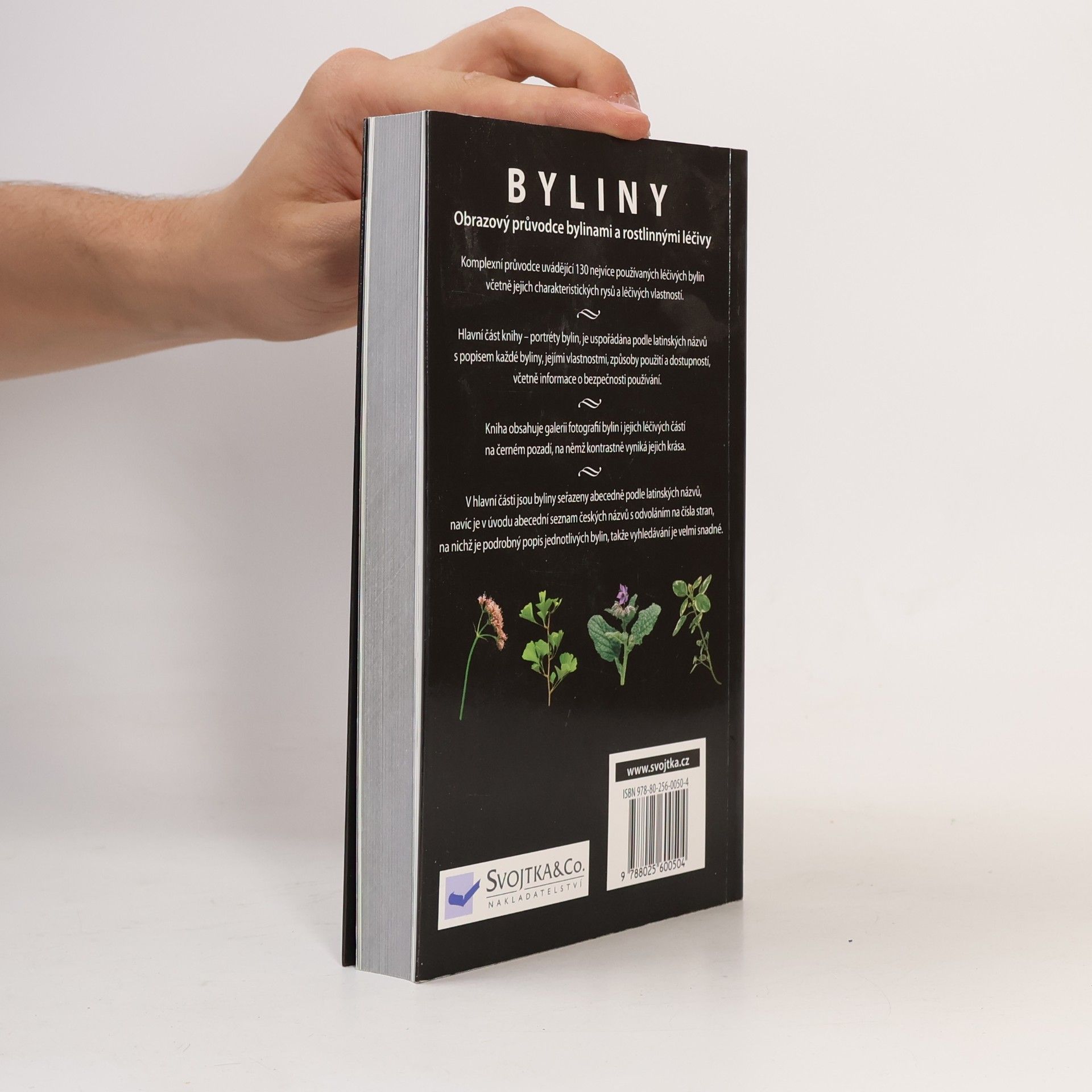 Jennie Harding Byliny: Obrazový průvodce bylinami a rostlinnými léčivy