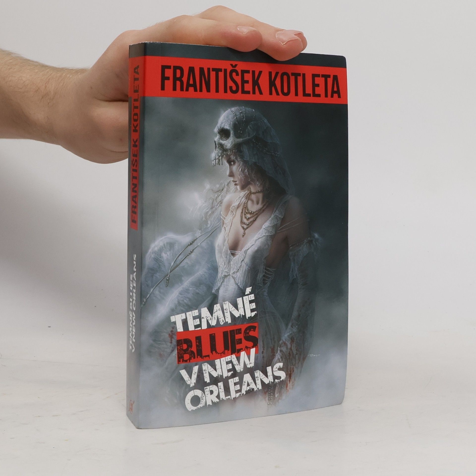 František Kotleta Temné blues v New Orleans