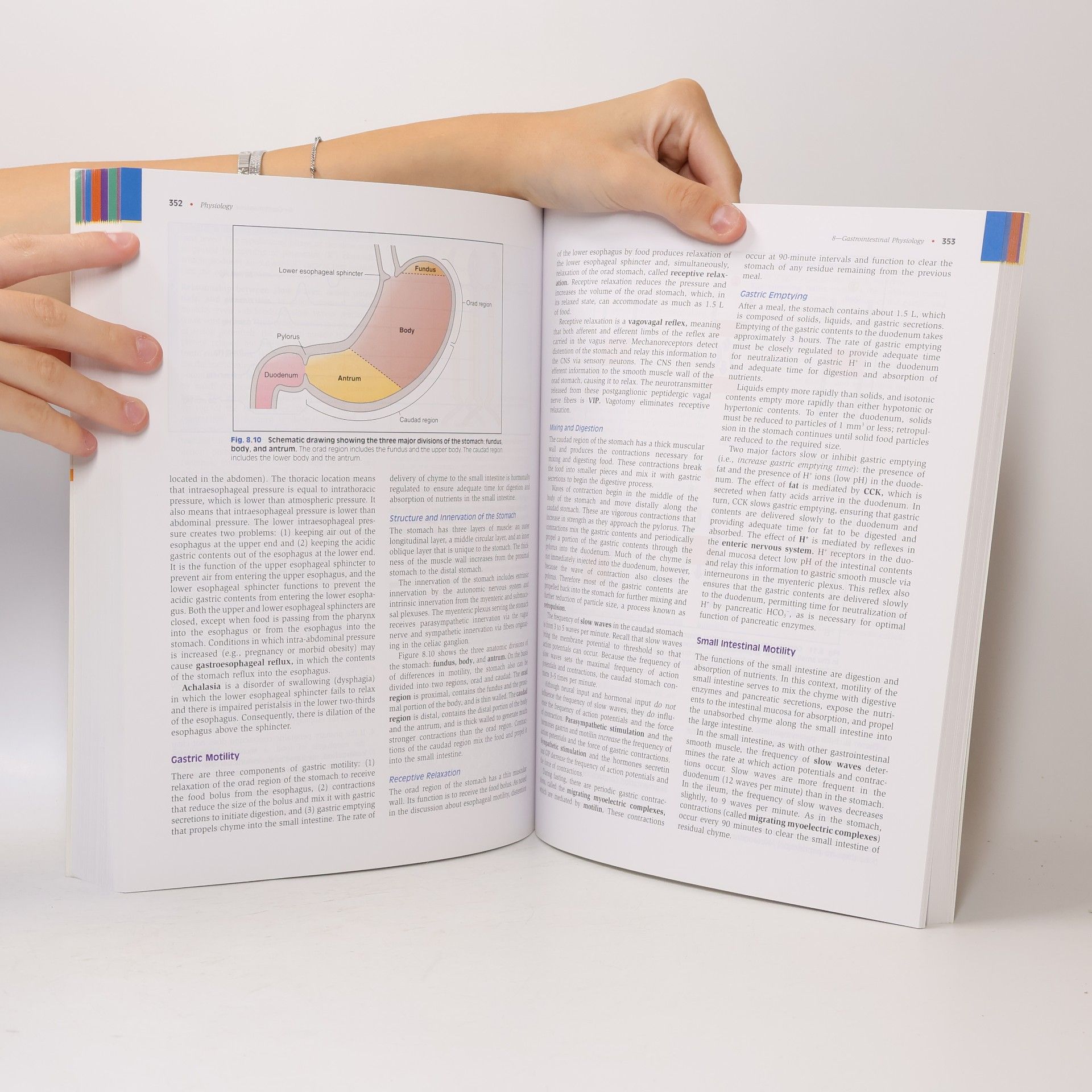 Linda S. Costanzo Physiology. Sixth Edition