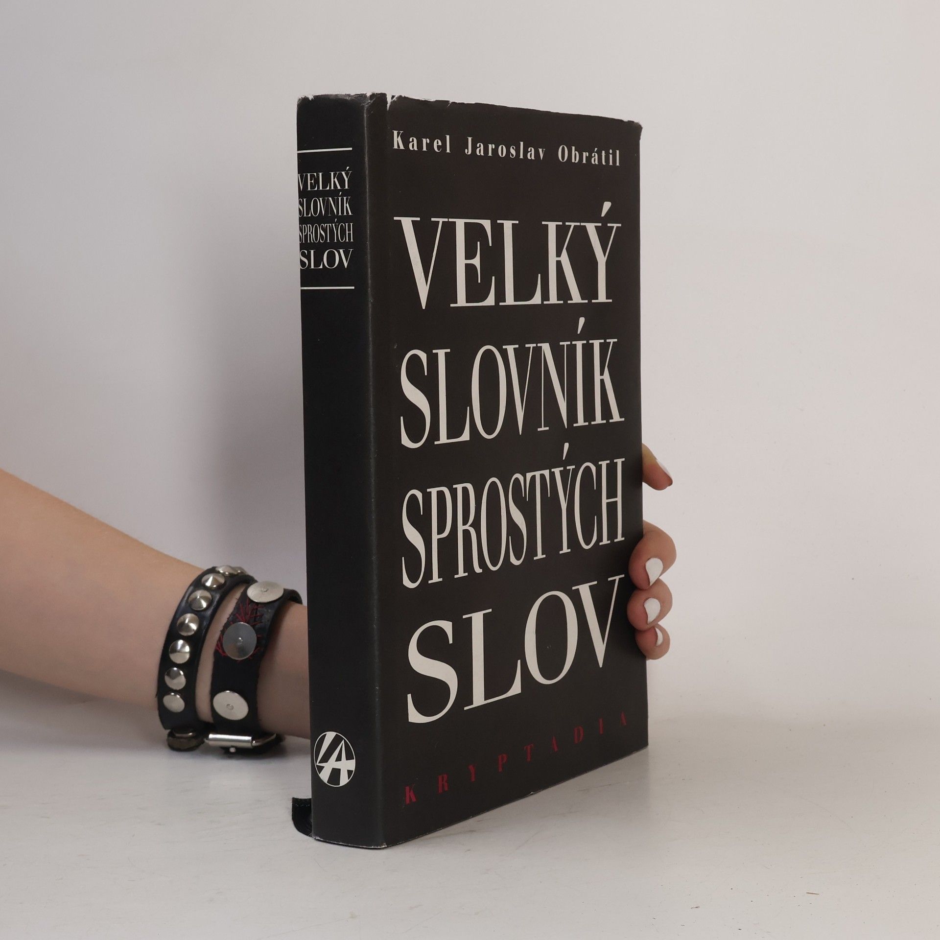Velký slovník sprostých slov
