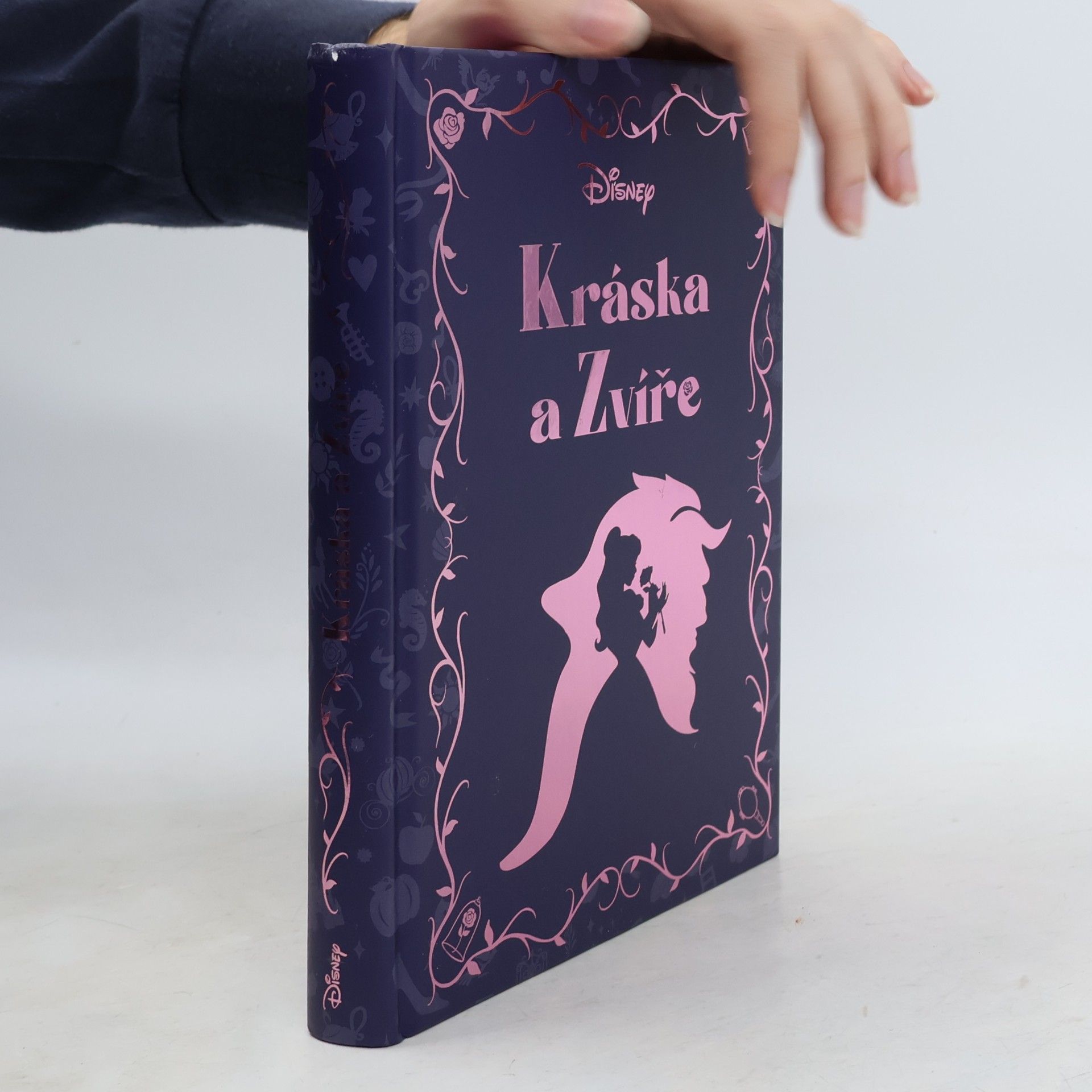 Kráska a Zvíře