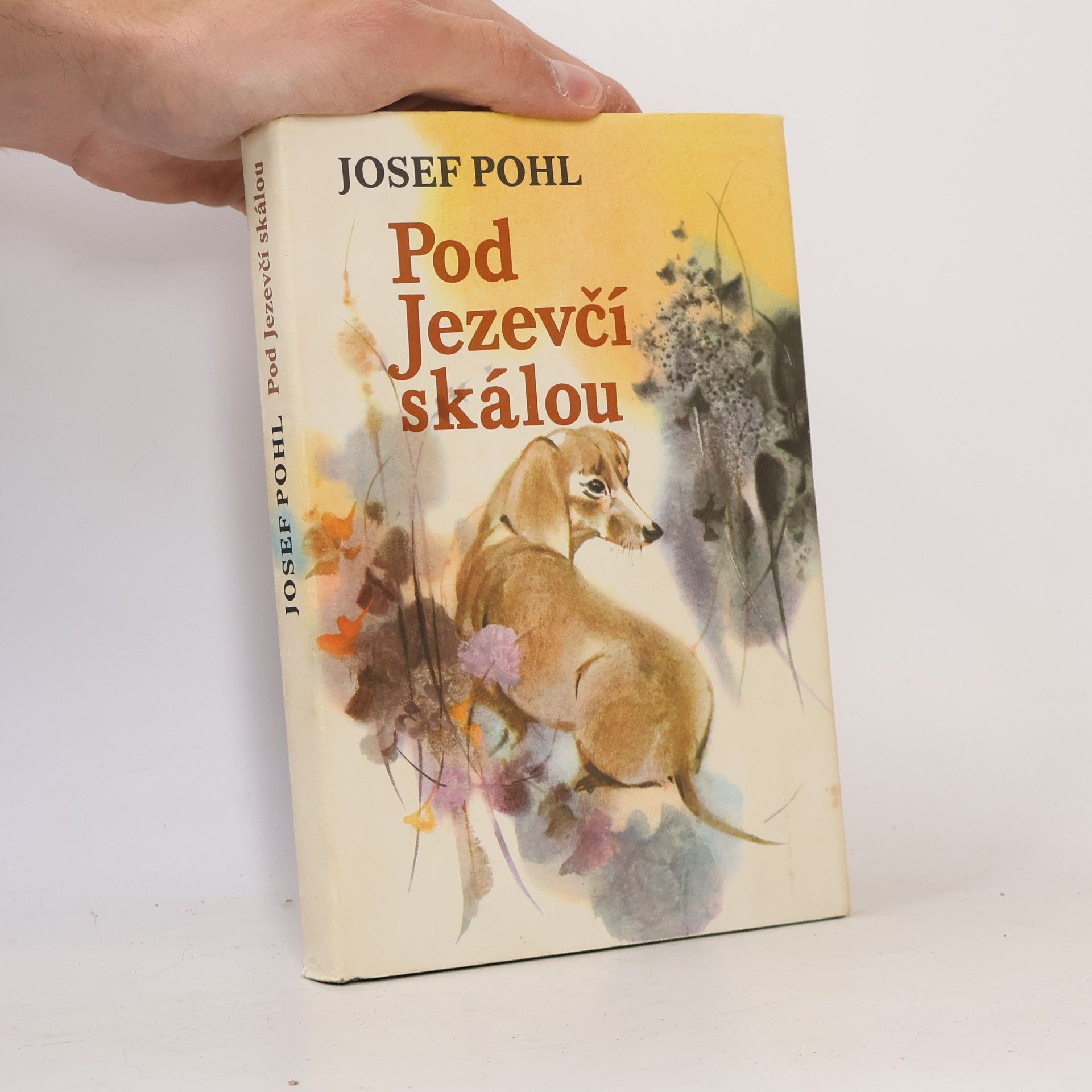 Josef Pohl Pod Jezevčí skálou