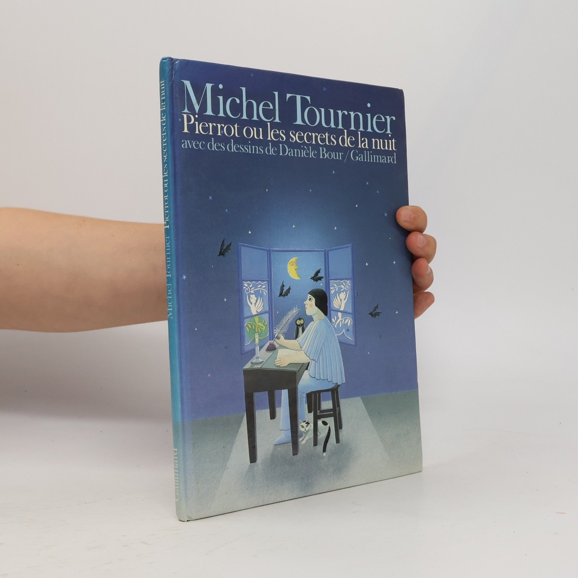 Michel Tournier Pierrot ou les secrets de la nuit