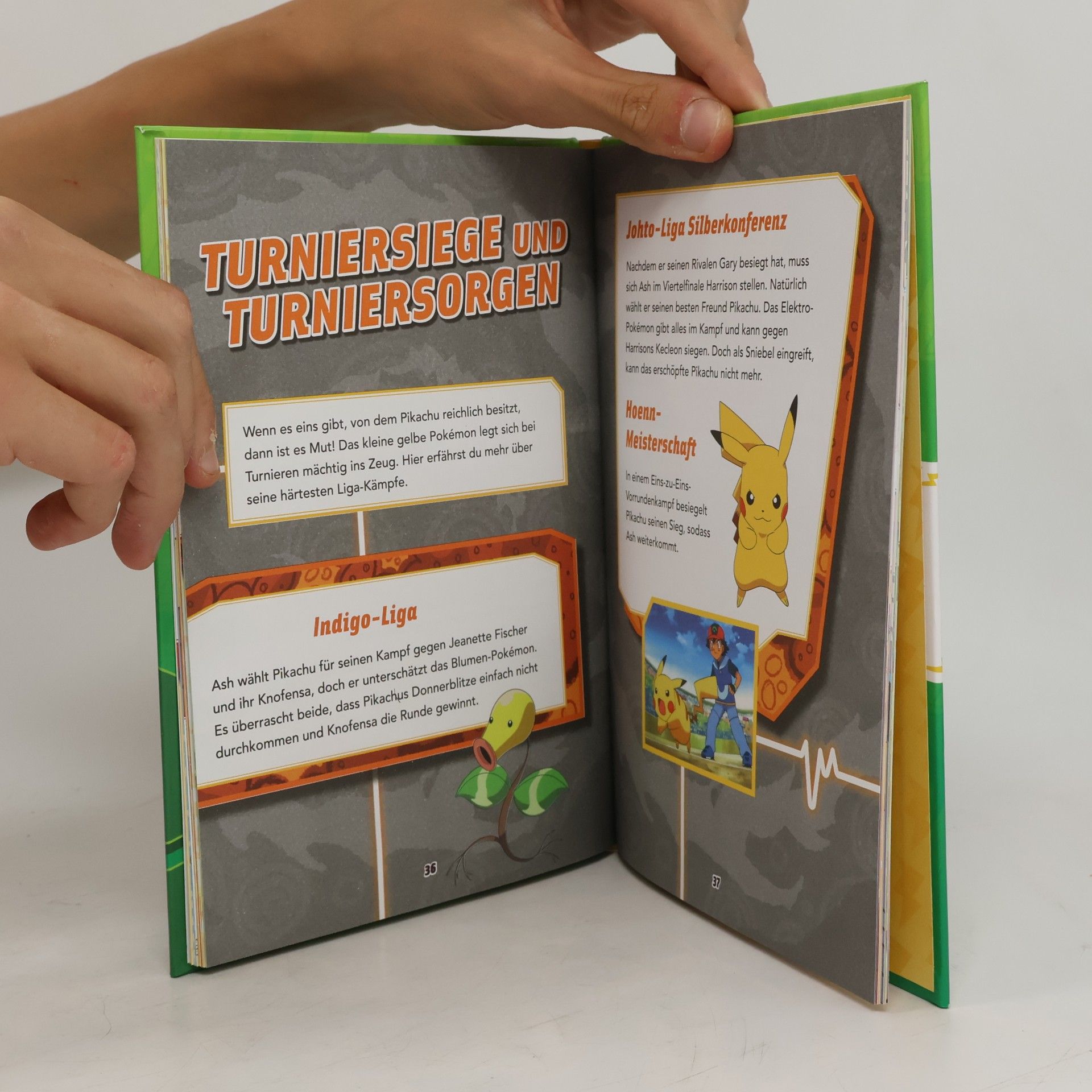 Autorenkollektiv Mein Pikachu-Buch