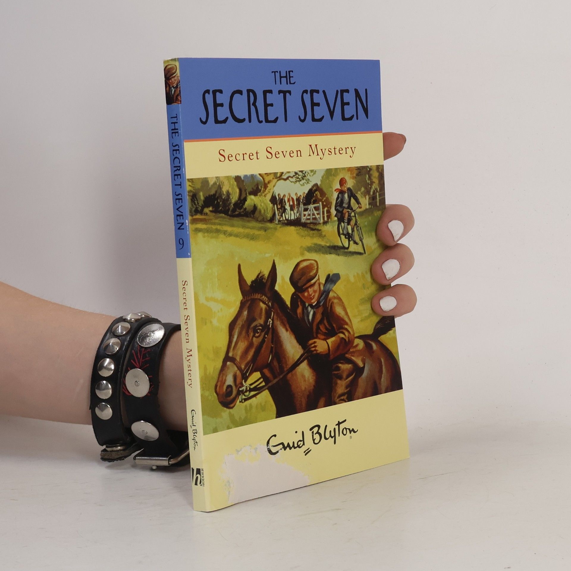 Enid Blyton Secret Seven Mystery