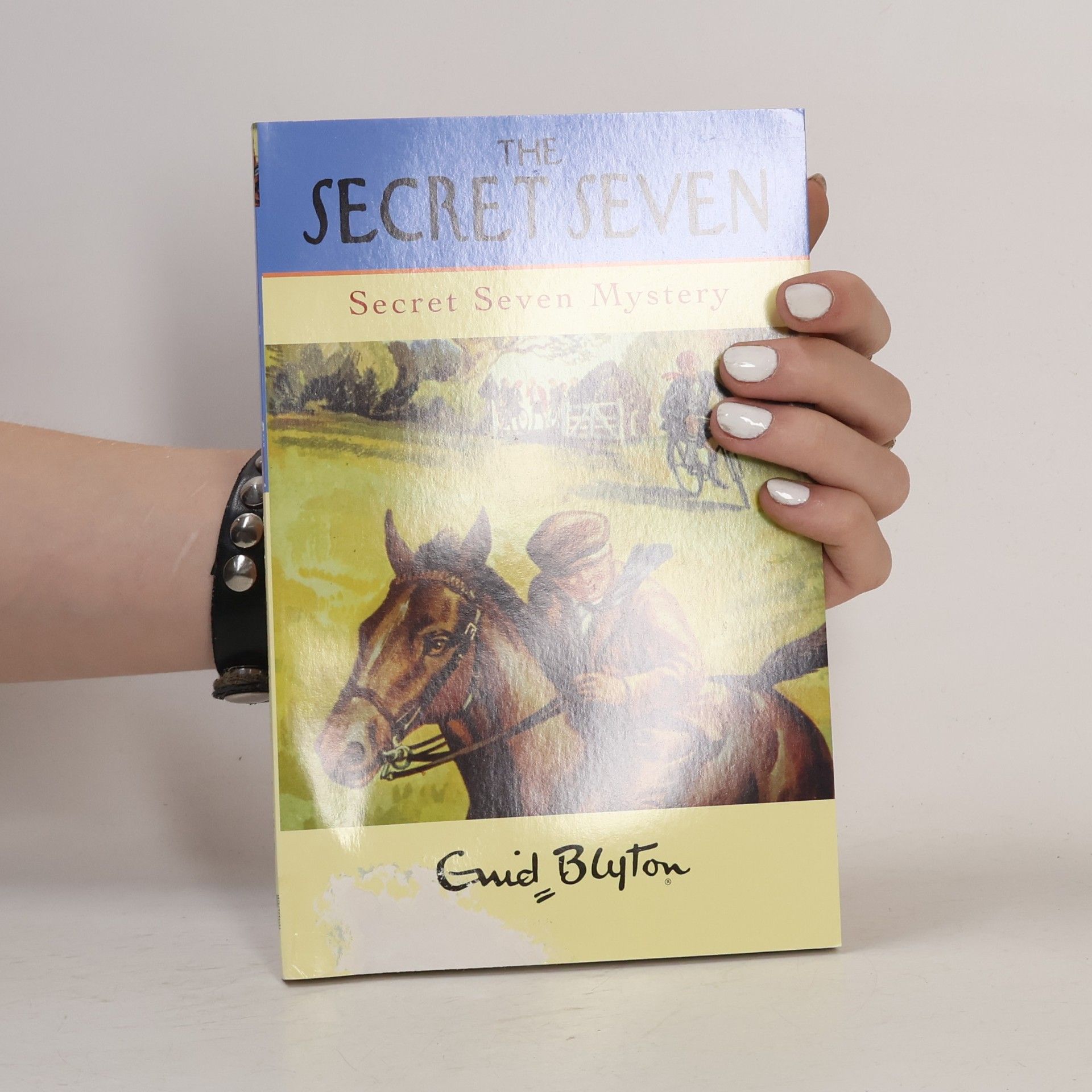 Enid Blyton Secret Seven Mystery
