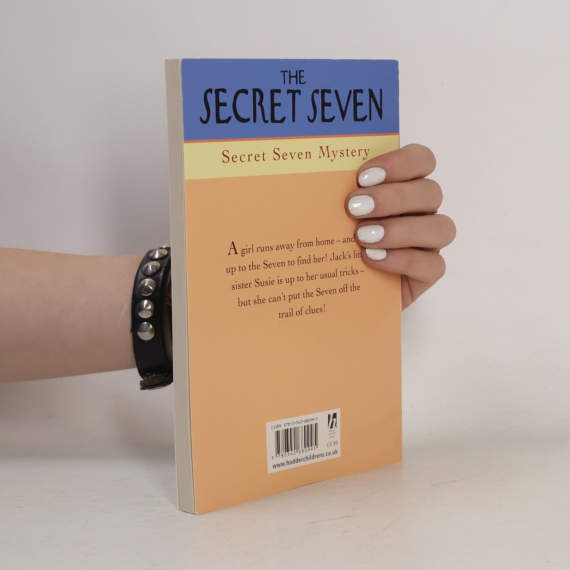 Enid Blyton Secret Seven Mystery