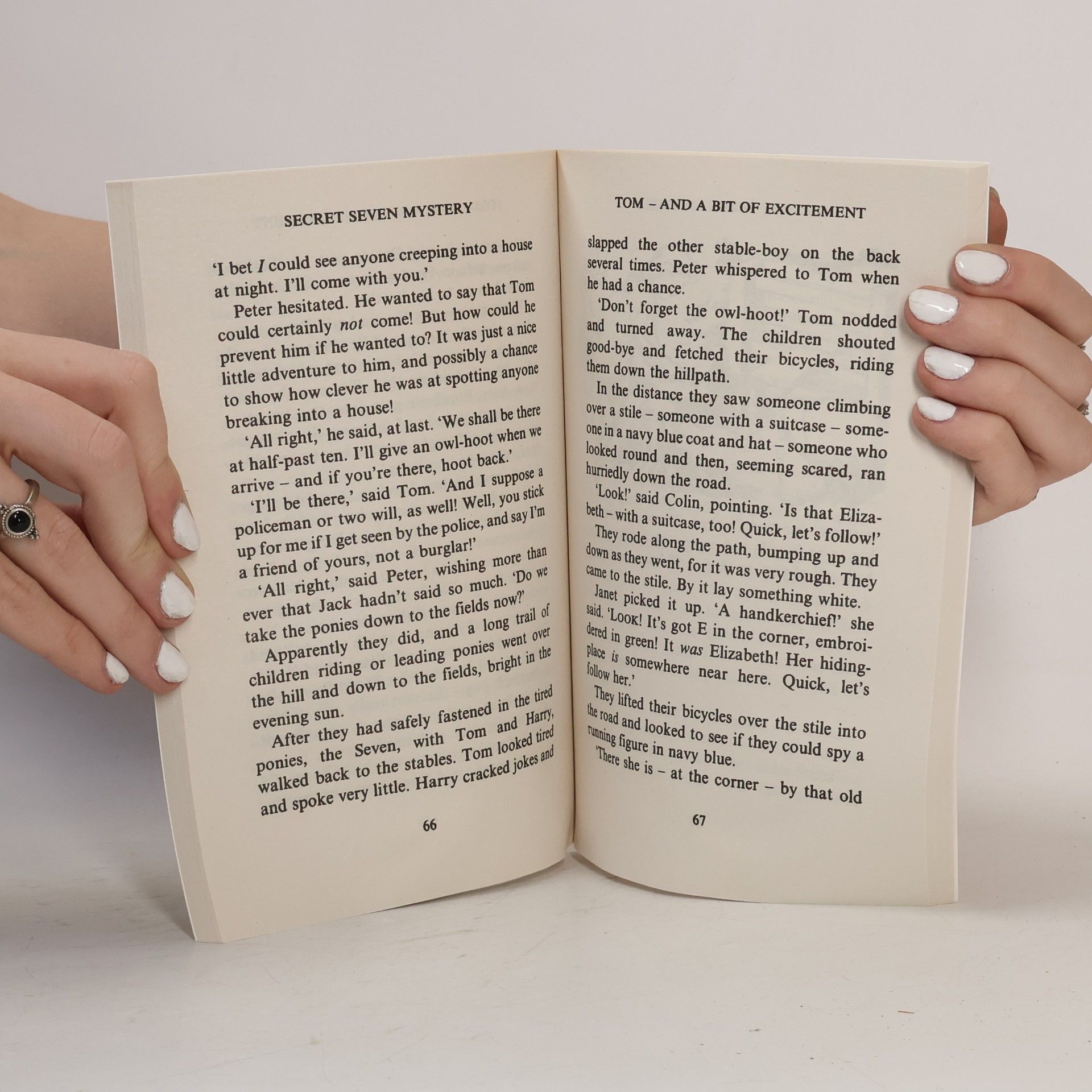 Enid Blyton Secret Seven Mystery
