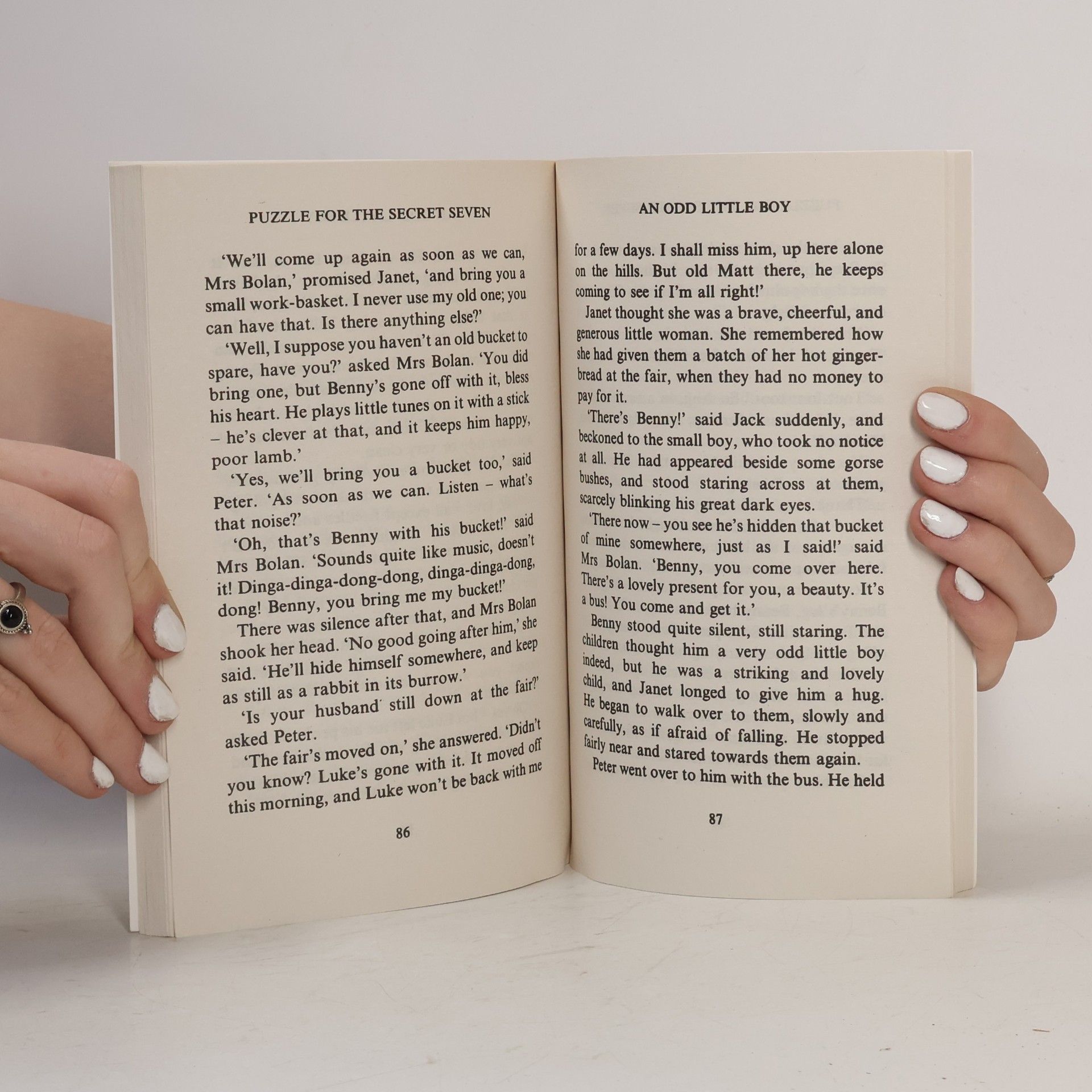 Enid Blyton Puzzle for the Secret Seven