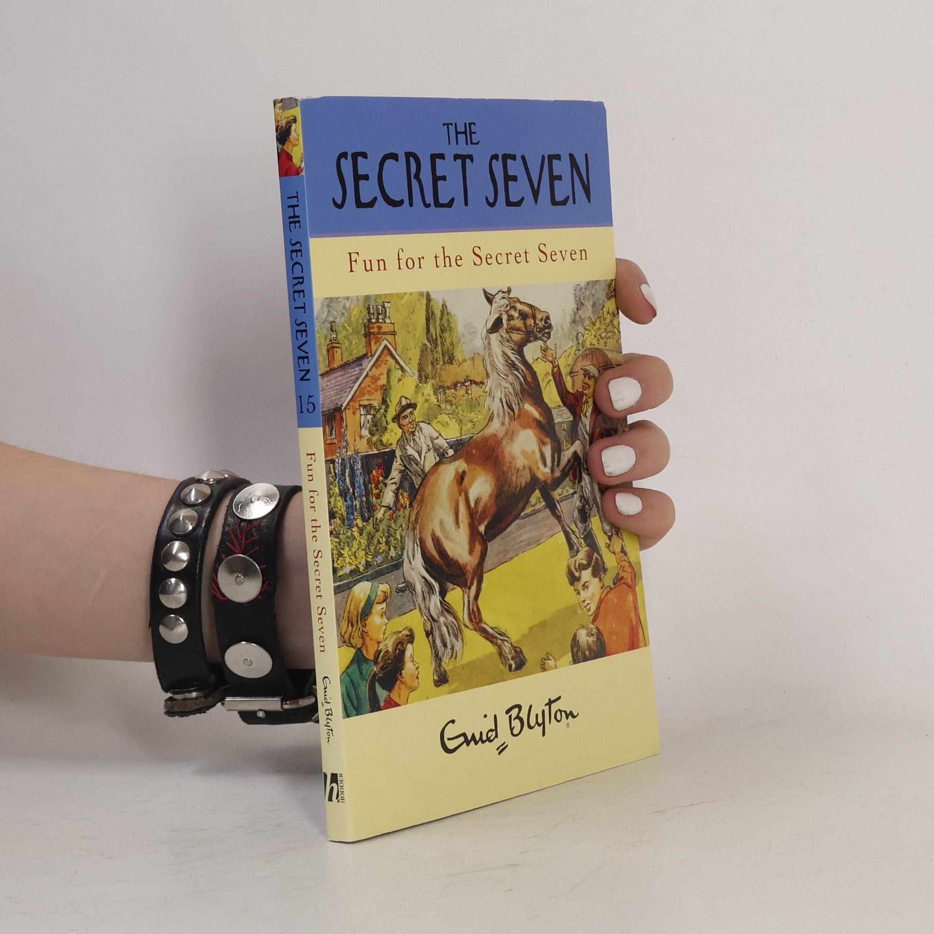 Fun for the Secret Seven
