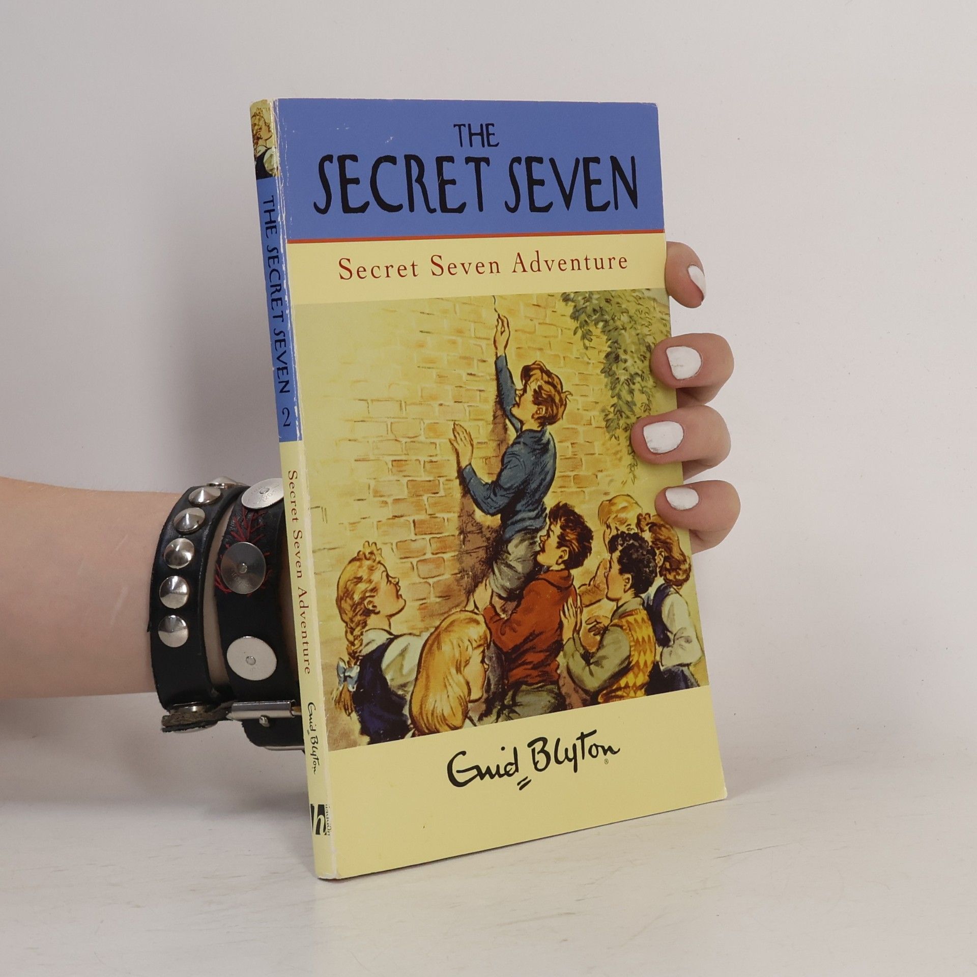 Enid Blyton Secret Seven Adventure