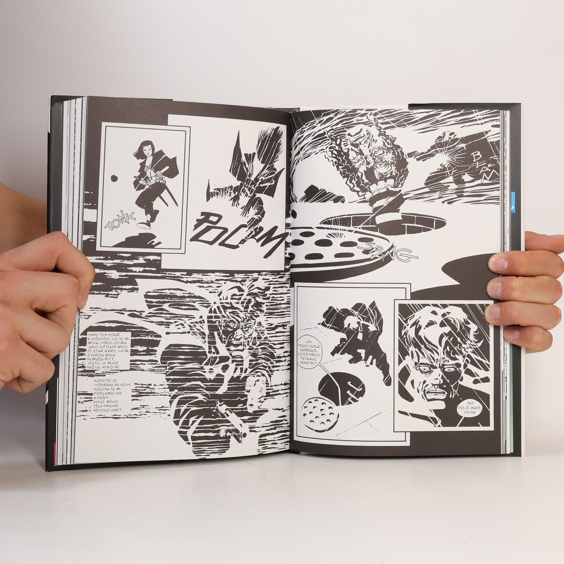 Frank Miller Sin City. Město hříchu 3. Velká tučná zabijačka