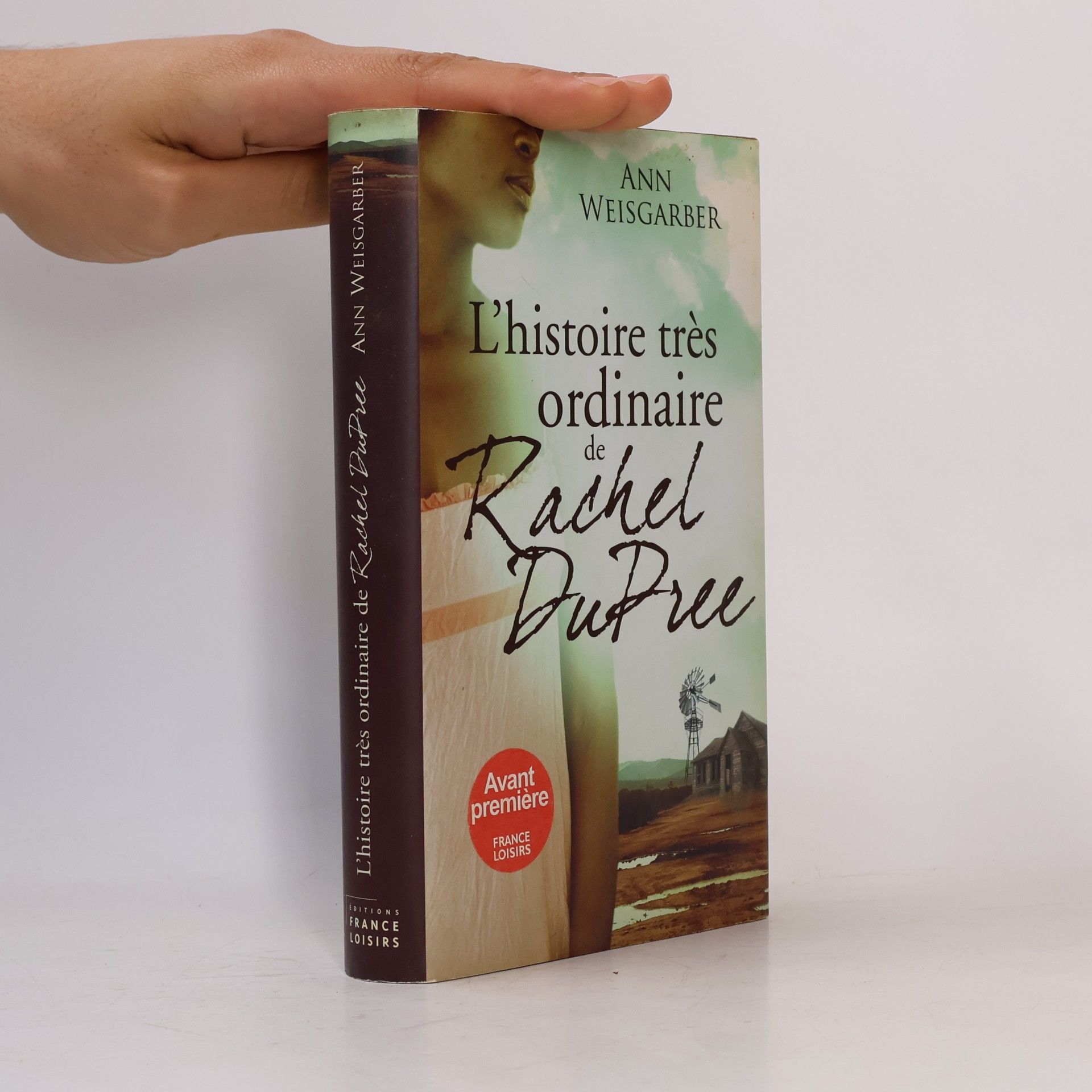 Ann Weisgarber L'histoire très ordinaire de Rachel DuPree