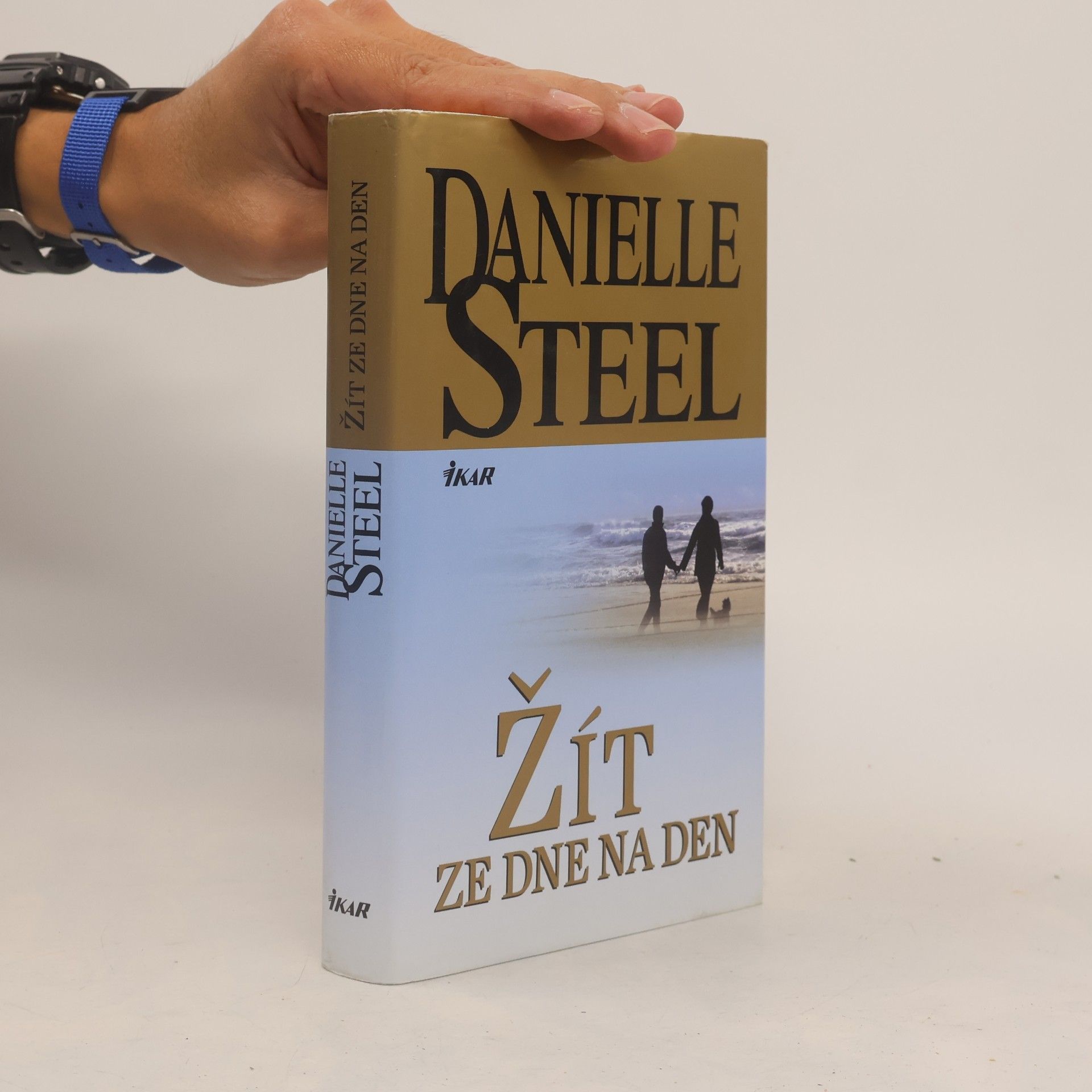Danielle Steel Žít ze dne na den