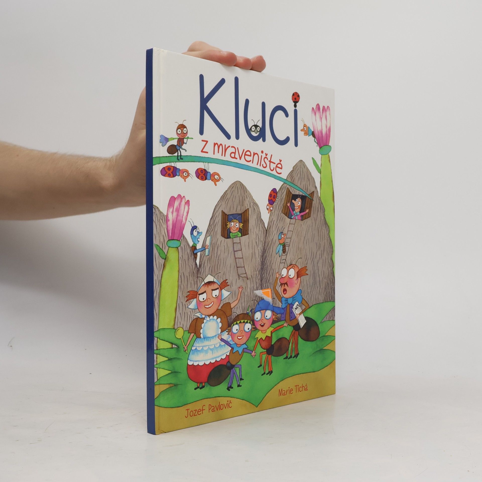Marie Tichá Kluci z mraveniště