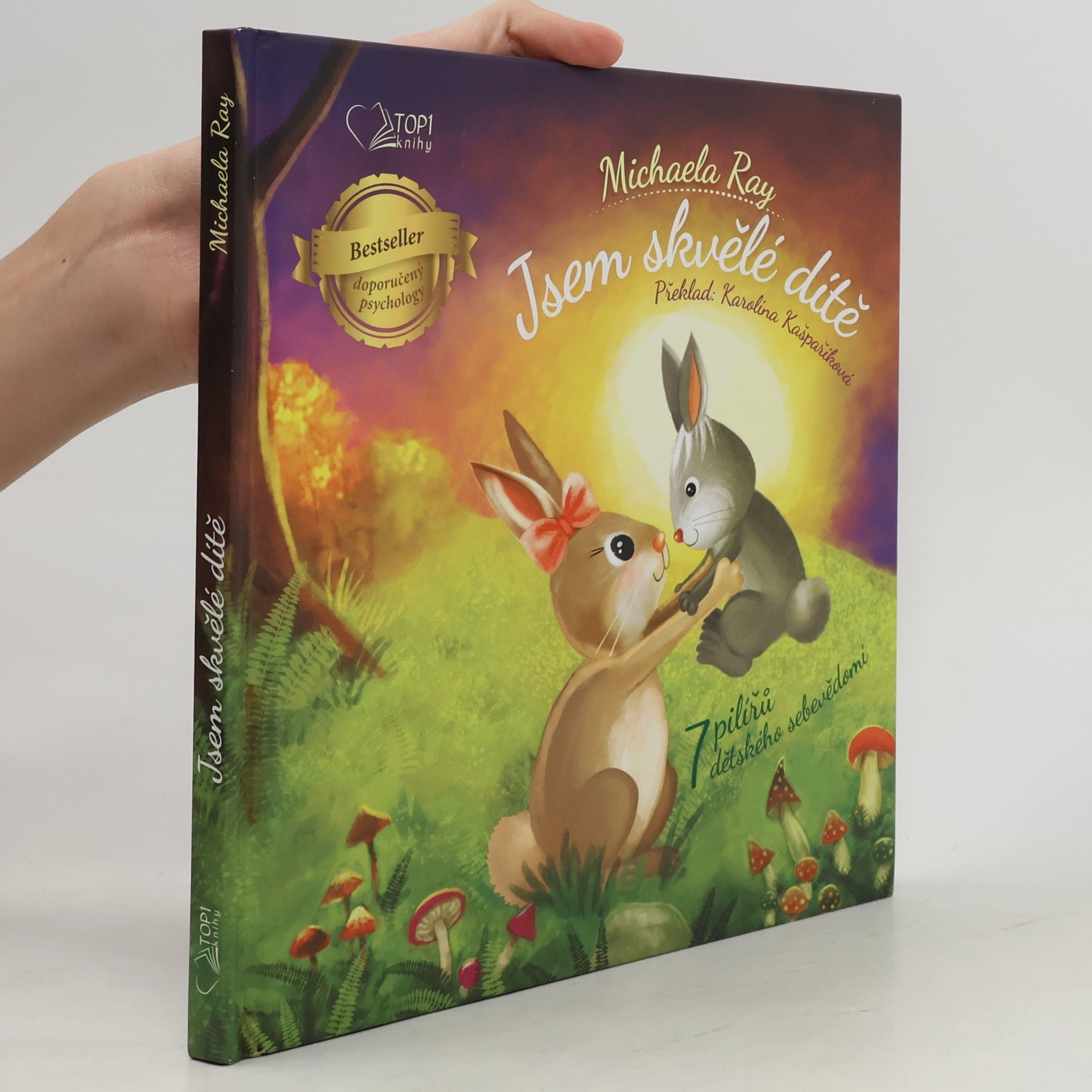 Michaela Ray Jsem skvělé dítě - 7 pilířů dětského sebevědomí