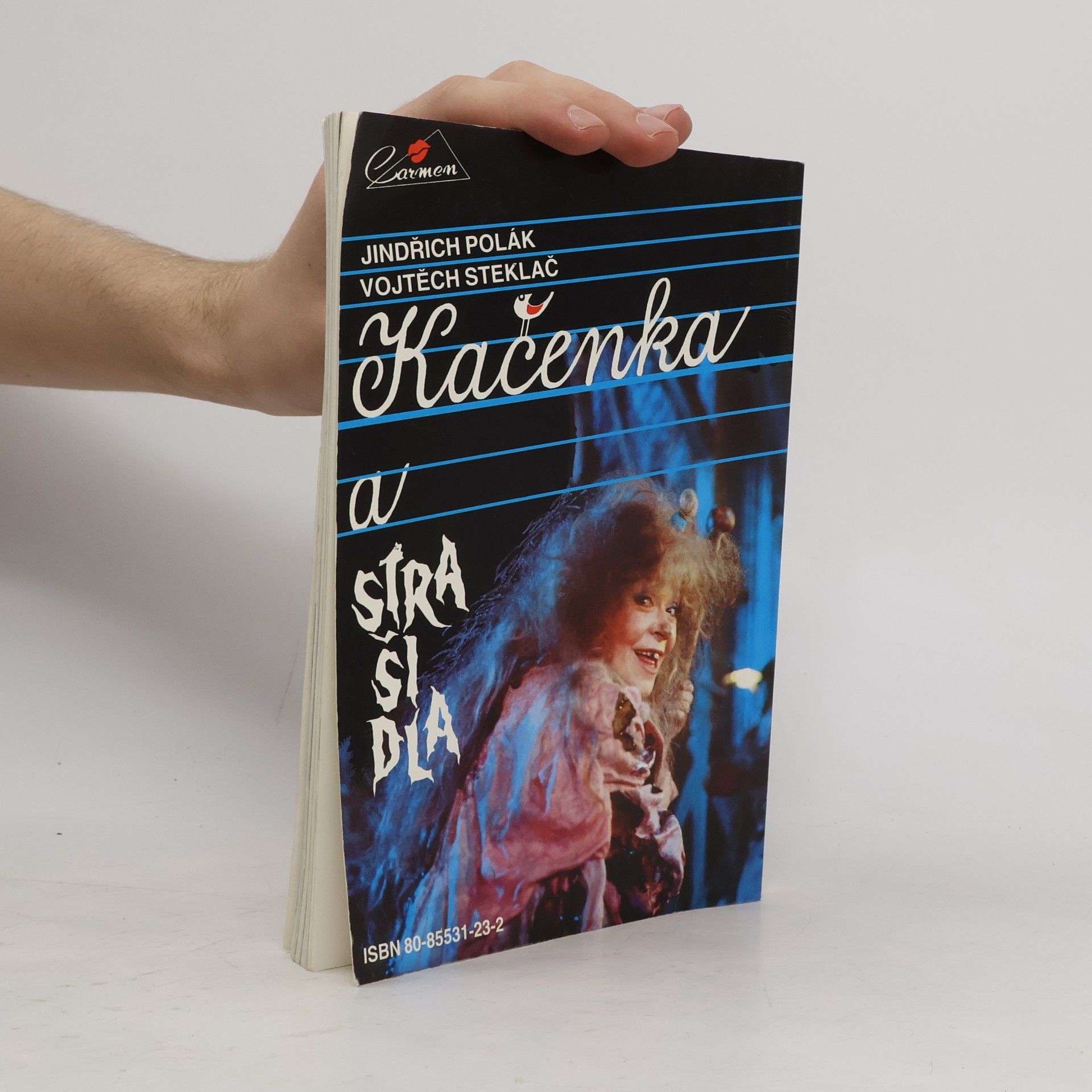 Vojtěch Steklač Kačenka a strašidla