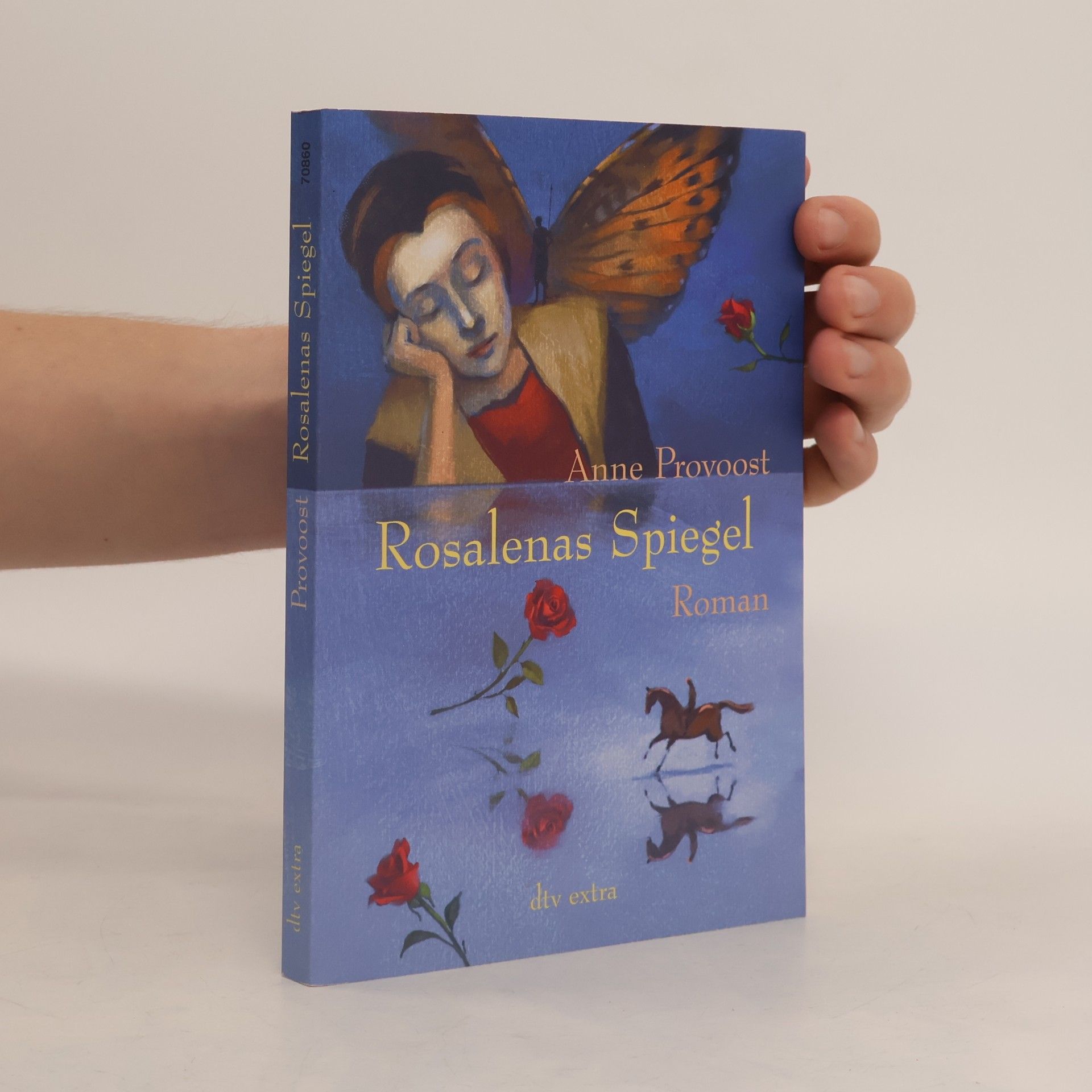 Anne Provoost Rosalenas Spiegel