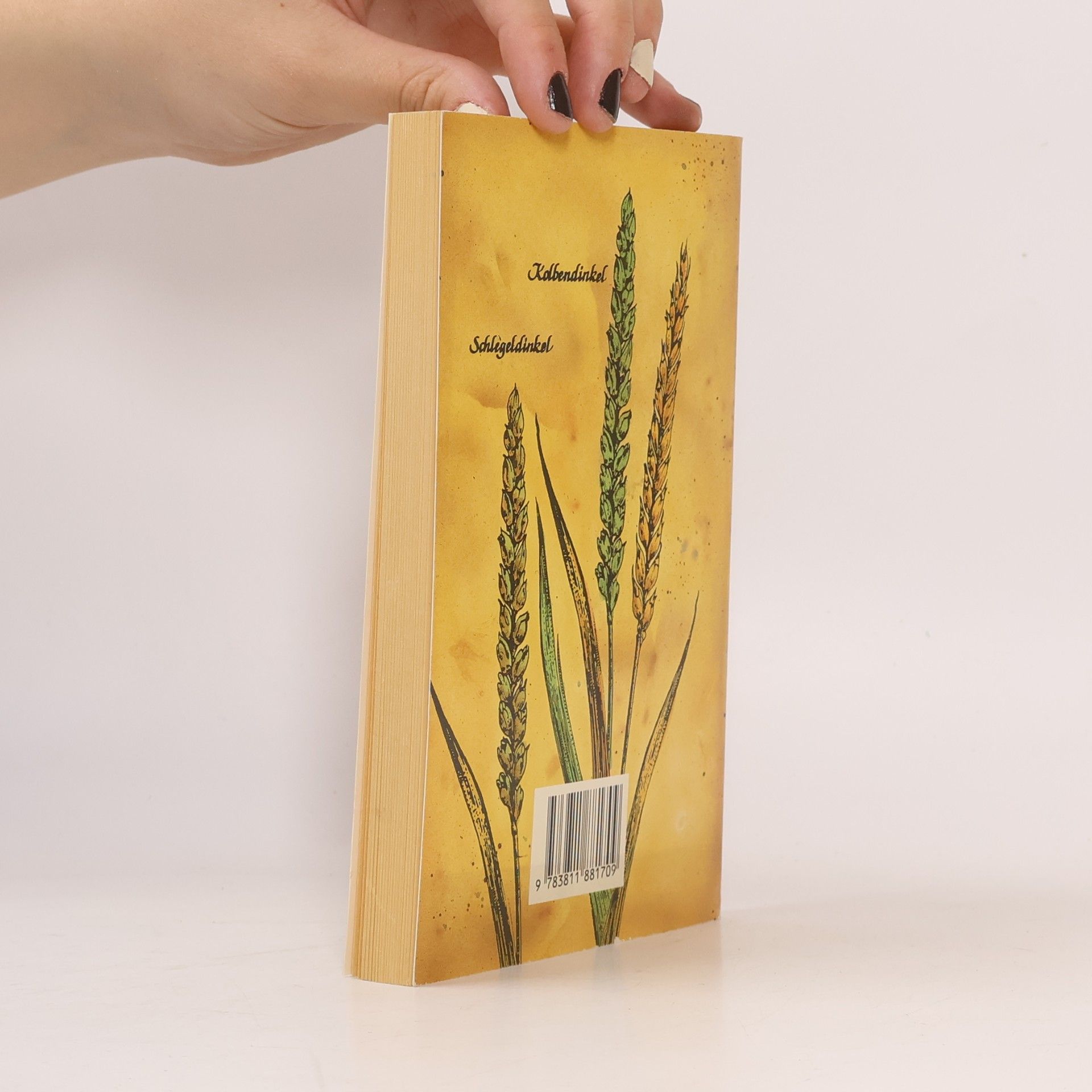 kolektiv Die Natur bittet zu Tisch