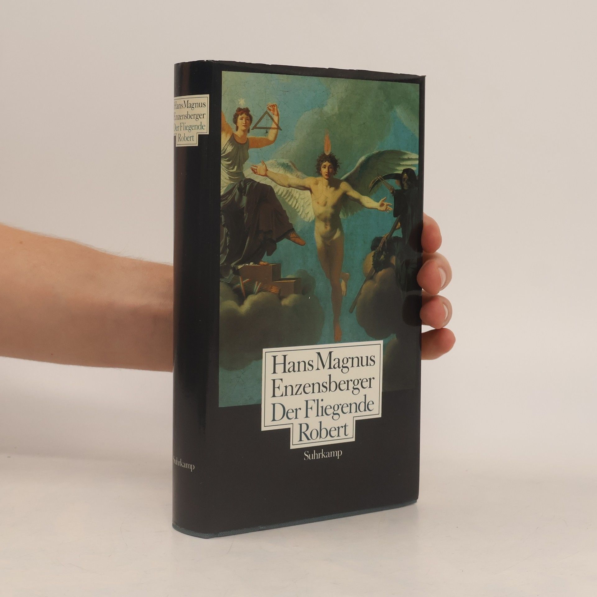 Hans Magnus Enzensberger Der Fliegende Robert