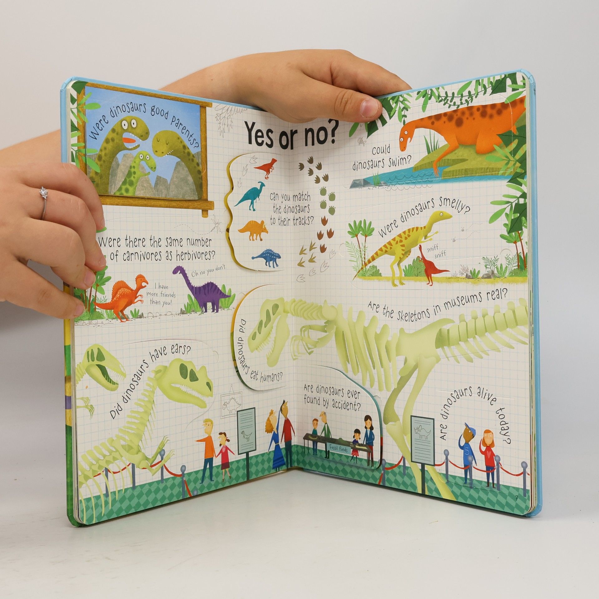 Katie Daynes Questions and answers about dinosaurs