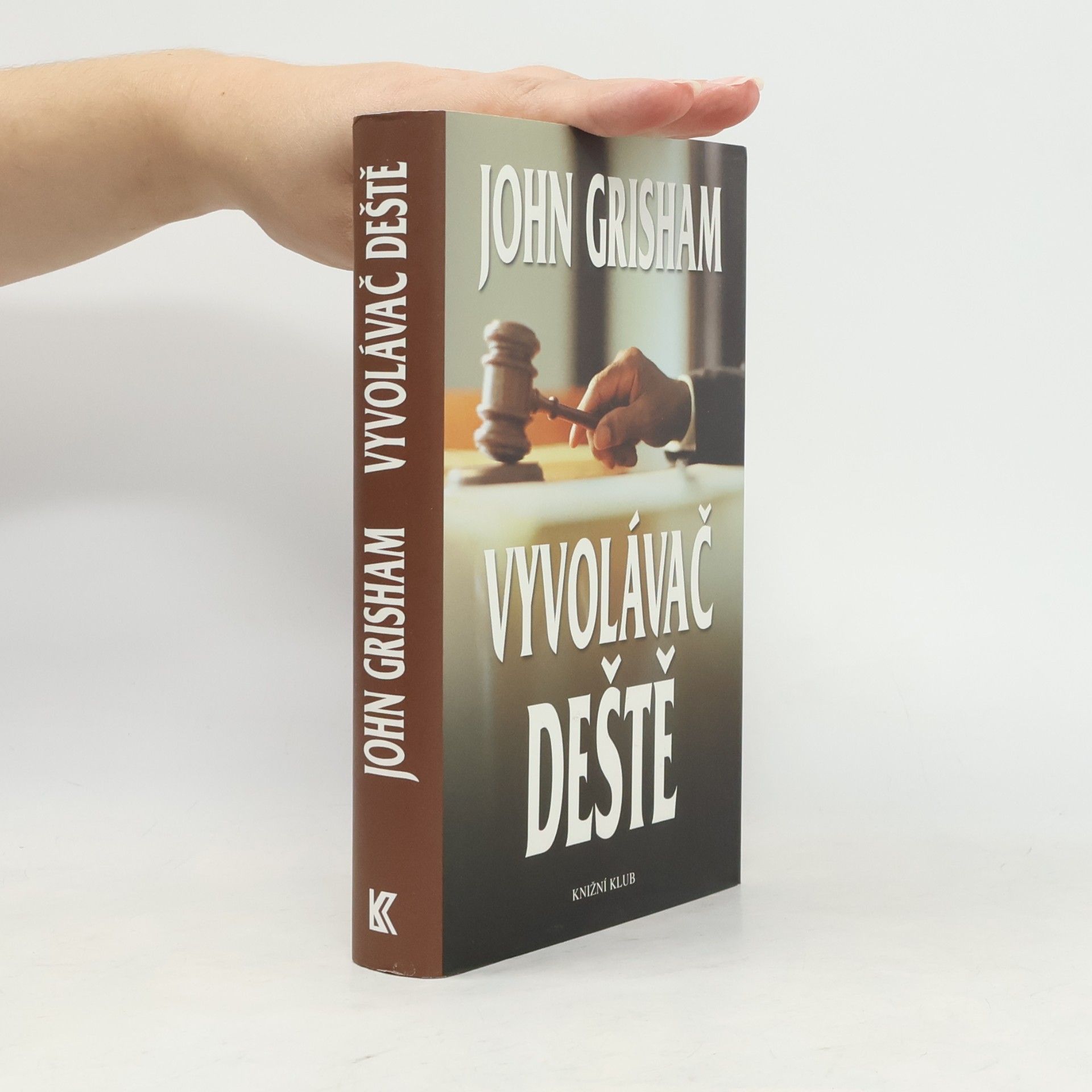 John Grisham Vyvolávač deště