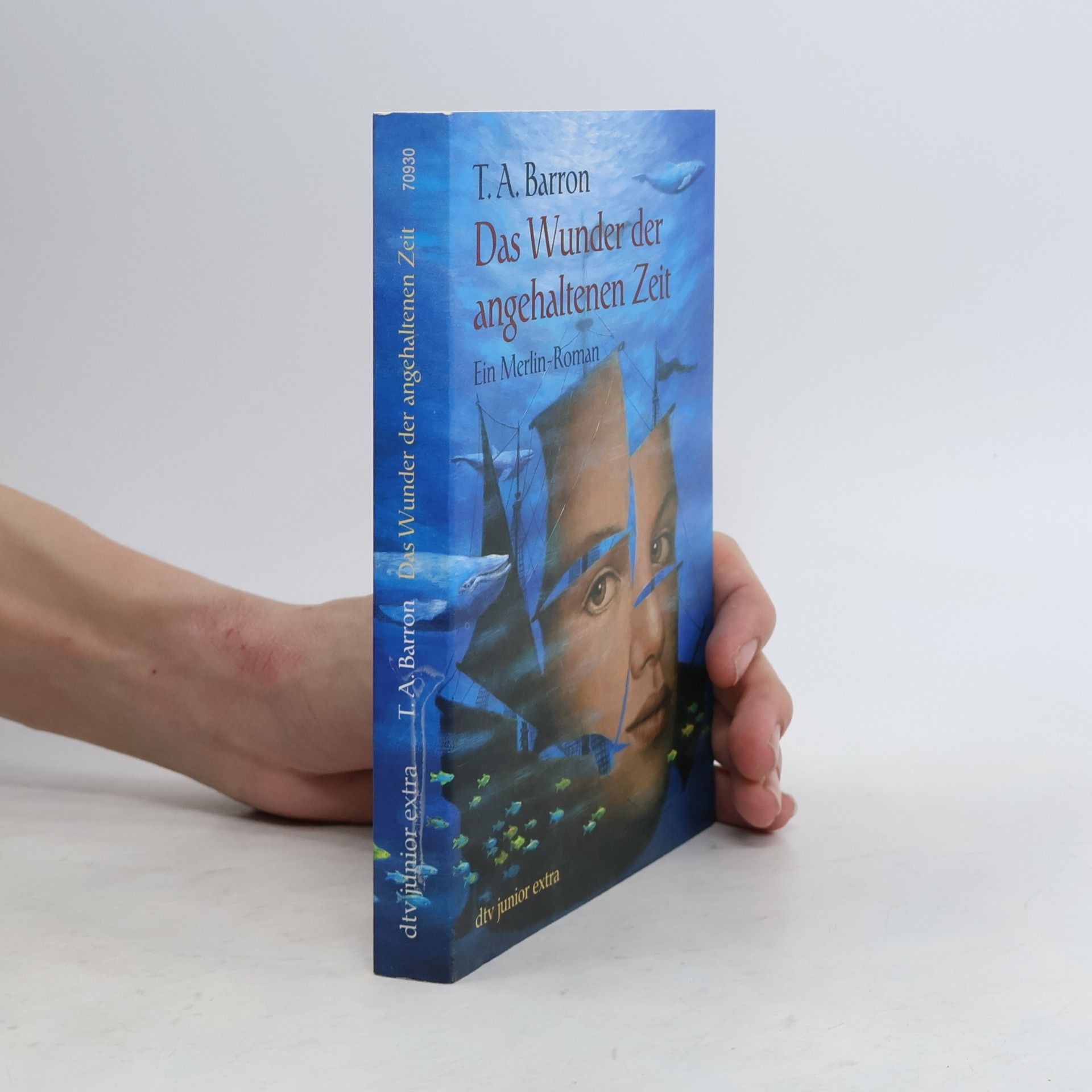 T. A. Barron Das Wunder der angehaltenen Zeit