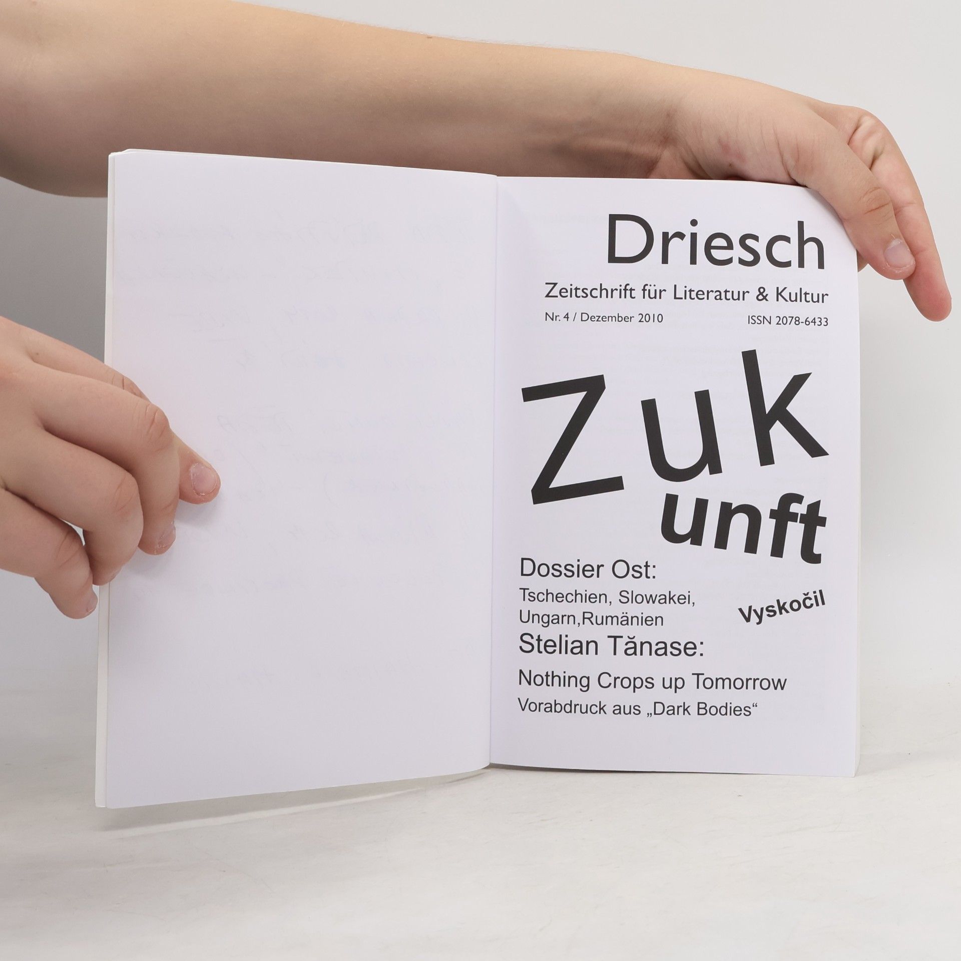 kolektiv Driesch Zukunft + Dossier Ost 4/2010