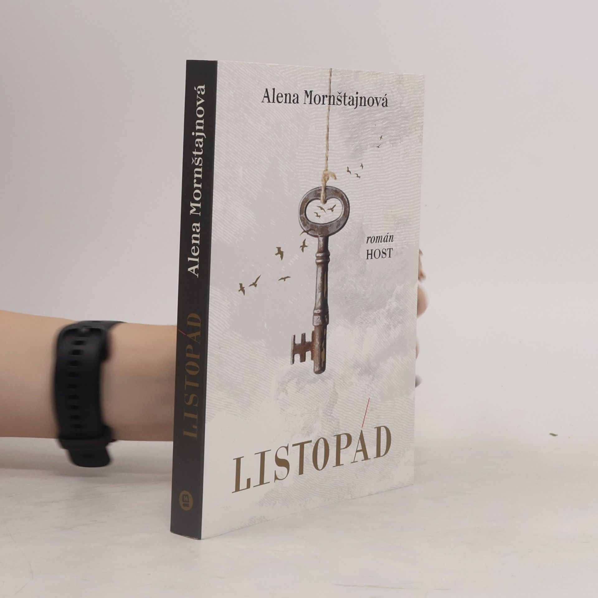 Alena Mornštajnová Listopád