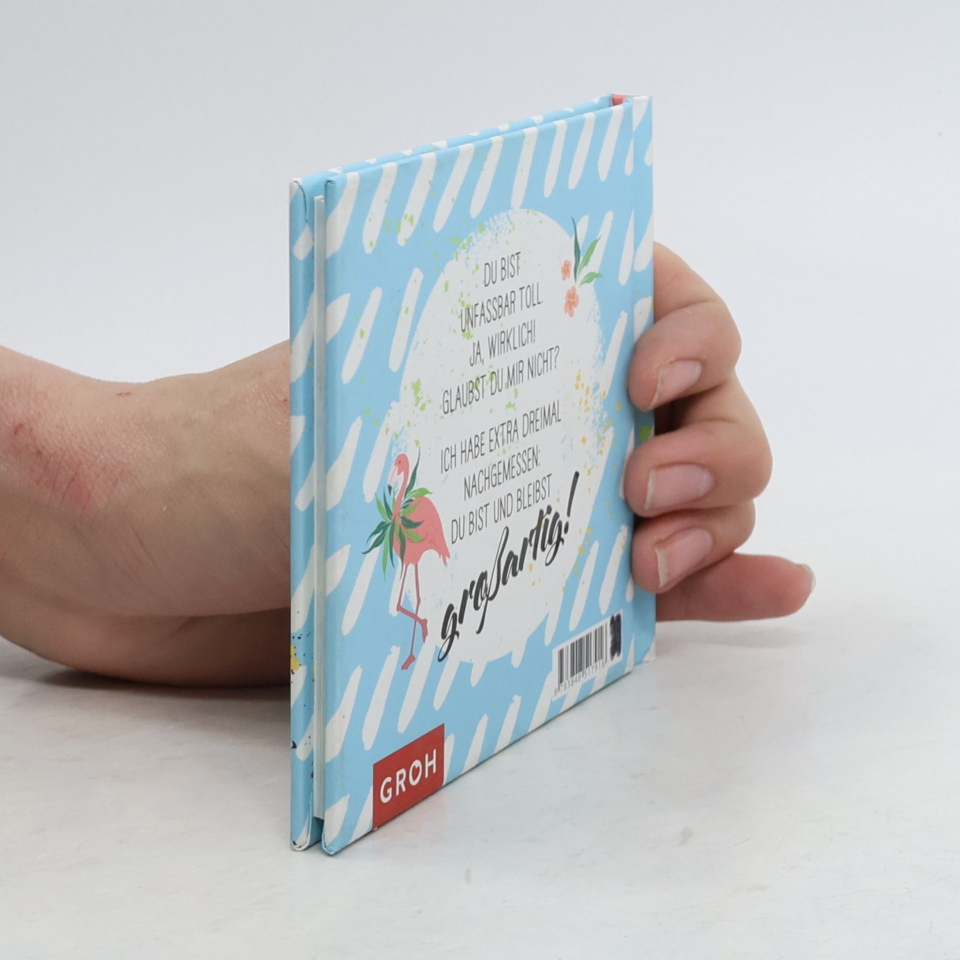 Joachim Groh Ich habe nachgemessen - du bist großartig!