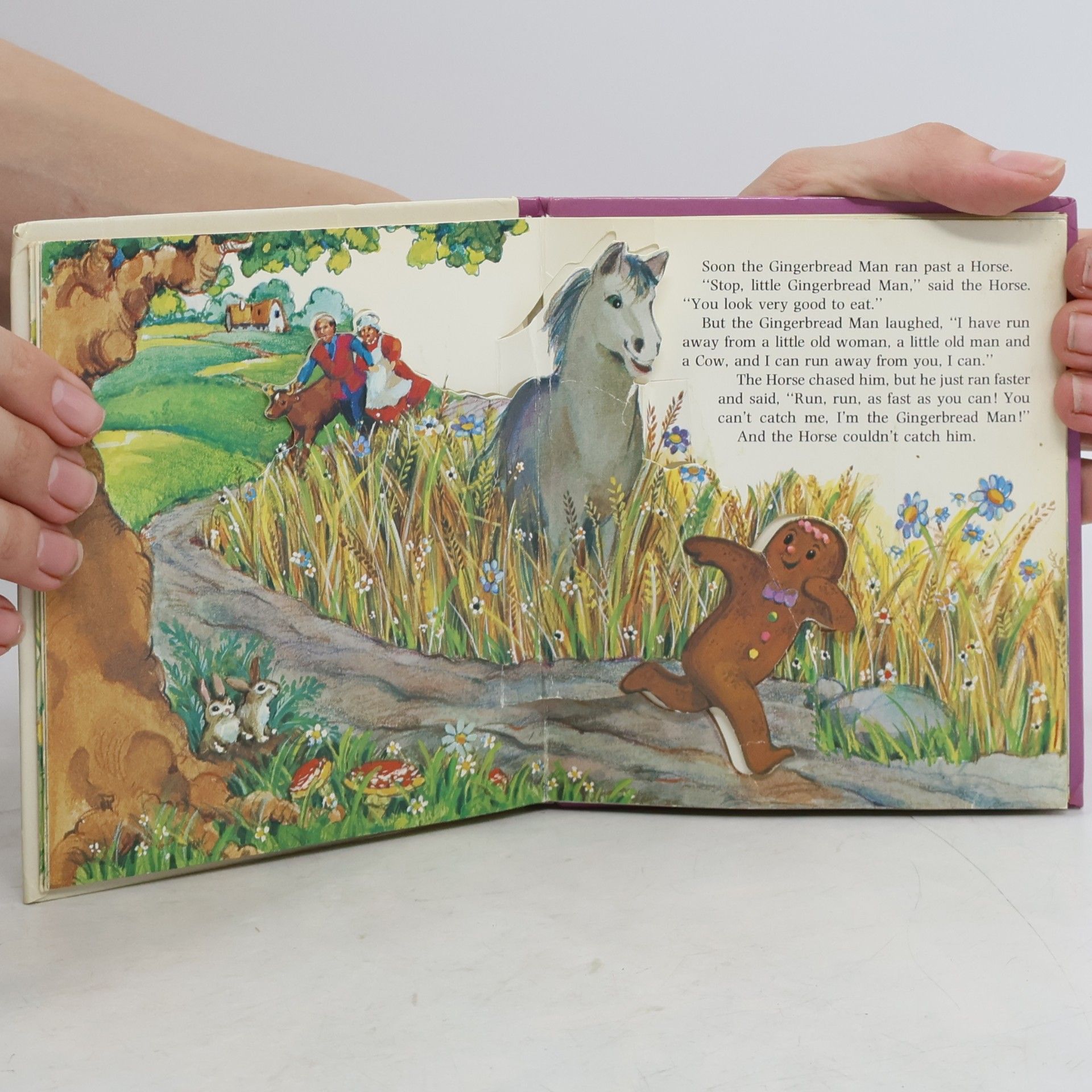 Irana Shepherd Mini Pop-Up Book: The Gingerbread Man