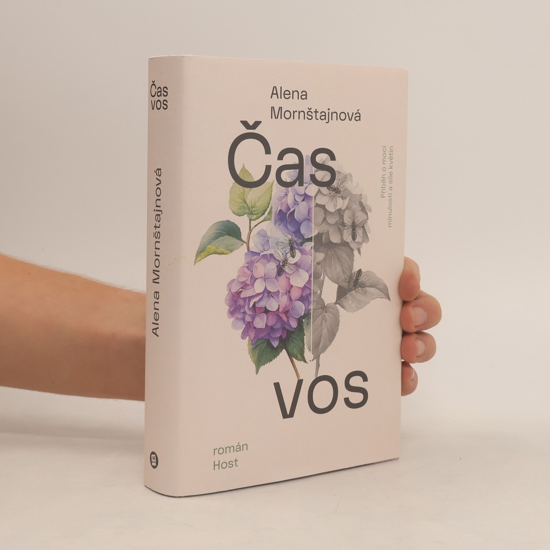 Alena Mornštajnová Čas vos