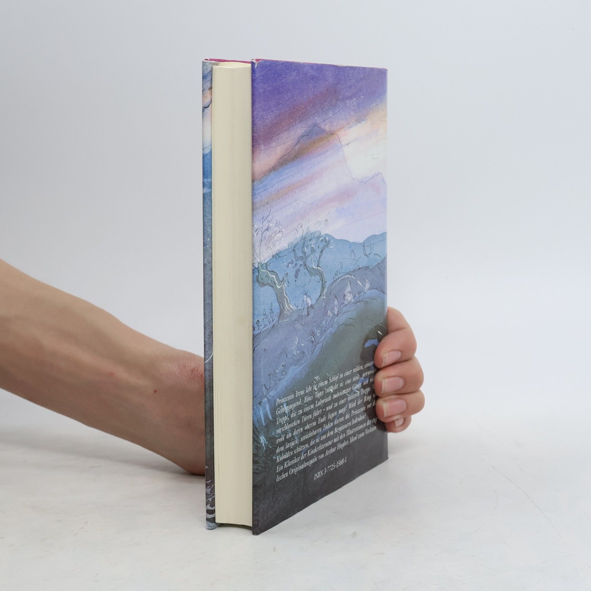 George MacDonald Die Prinzessin und der Kobold
