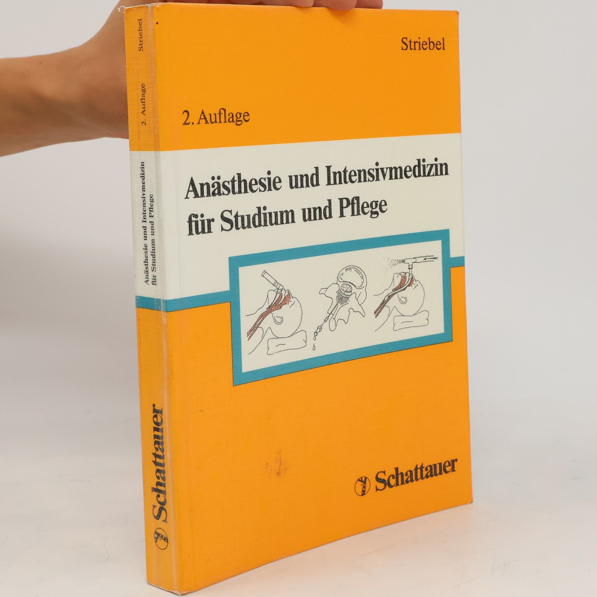 Hans Walter Striebel Anästhesie und Intensivmedizin für Studium und Pflege