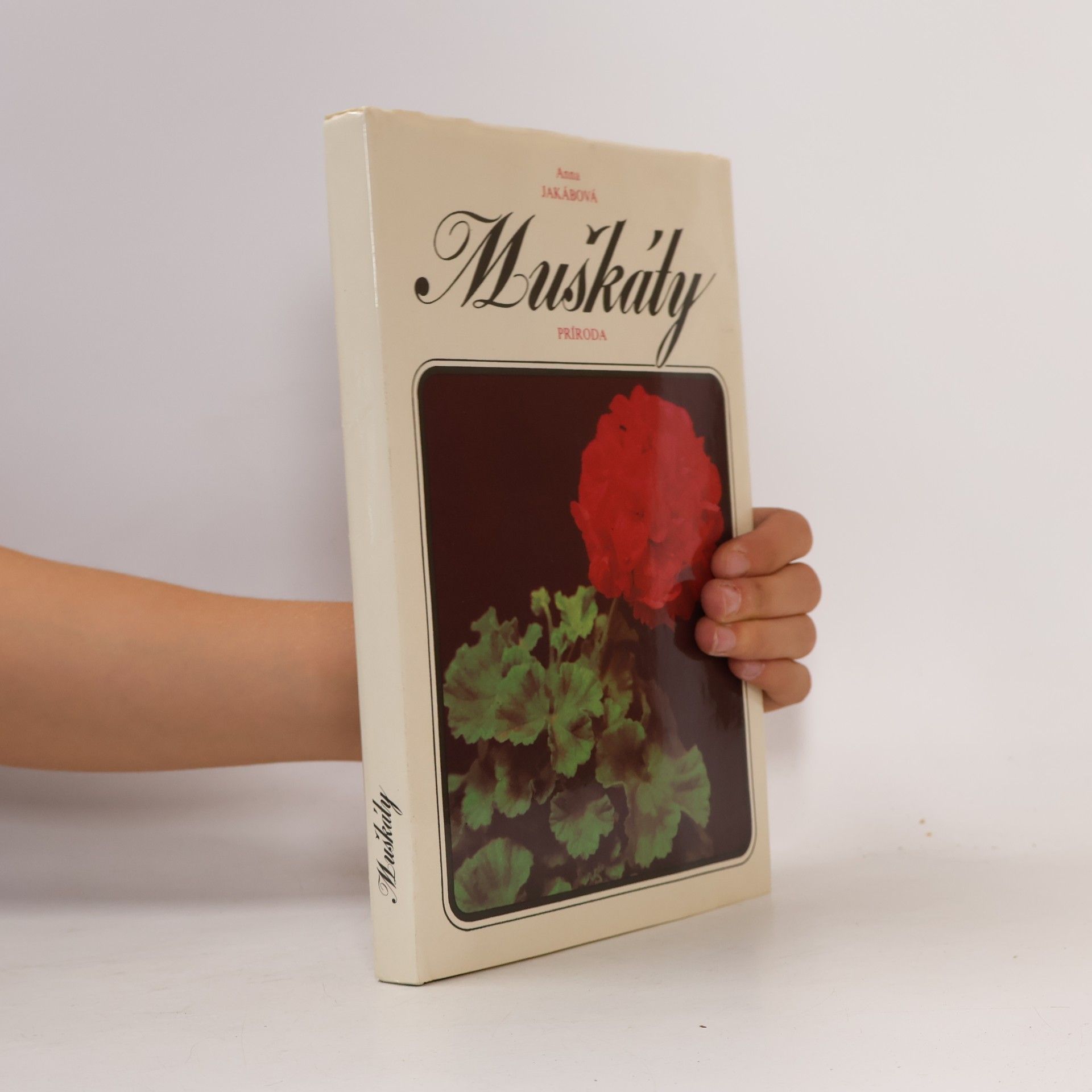 Anna Jakábová Muškáty