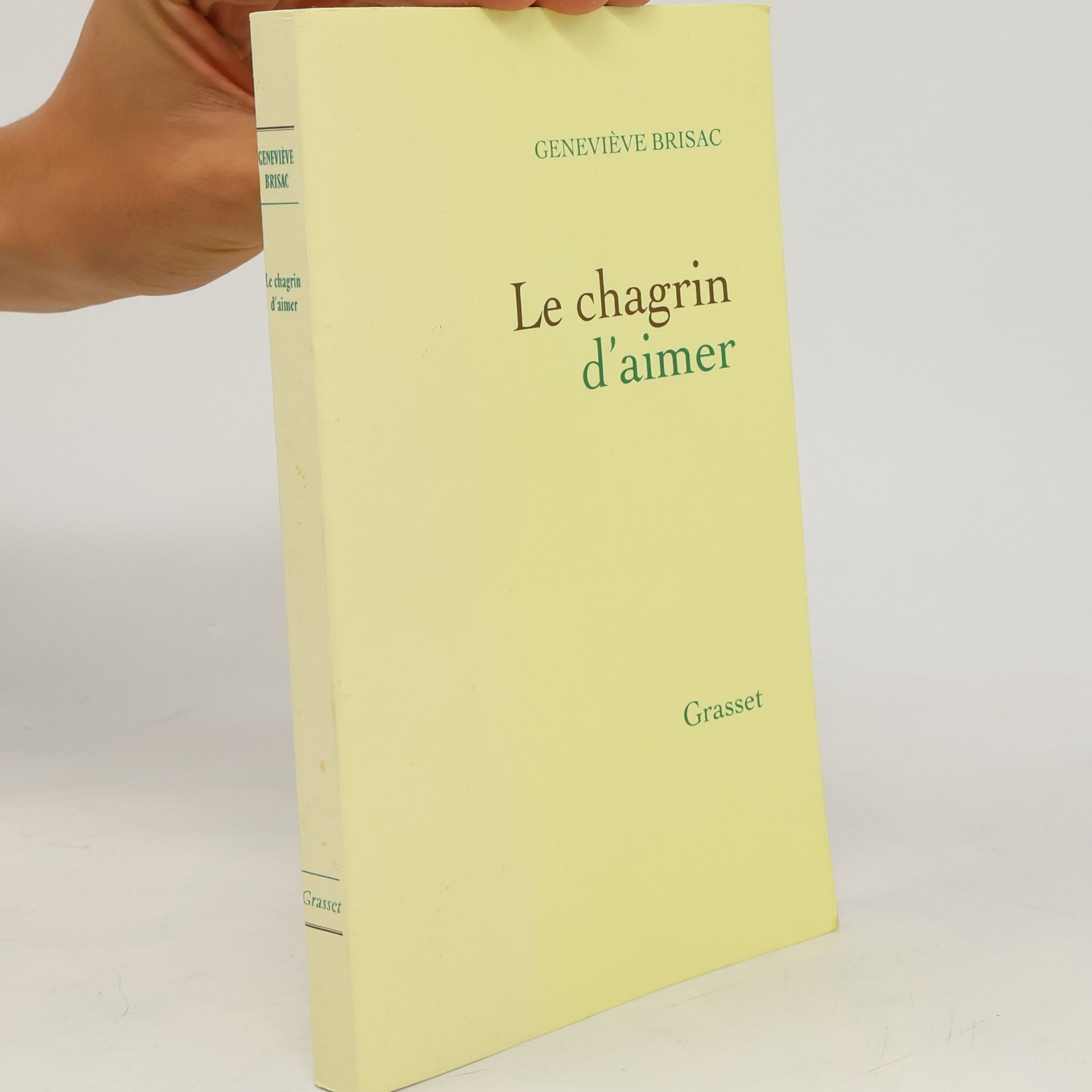 Geneviève Brisac Le chagrin d'aimer
