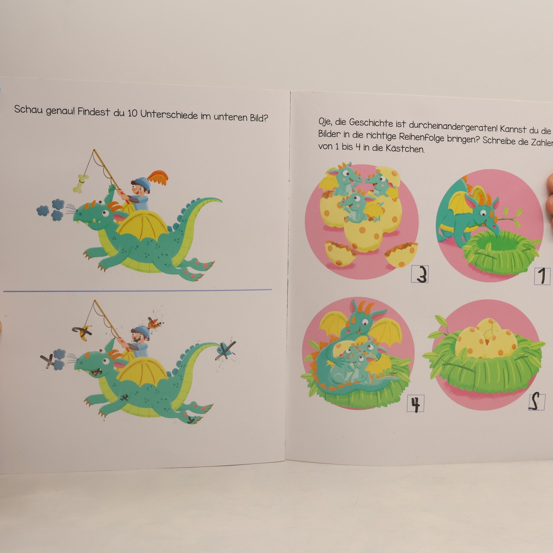 Christine Thau Ruckzuck weggewischt! Drachen