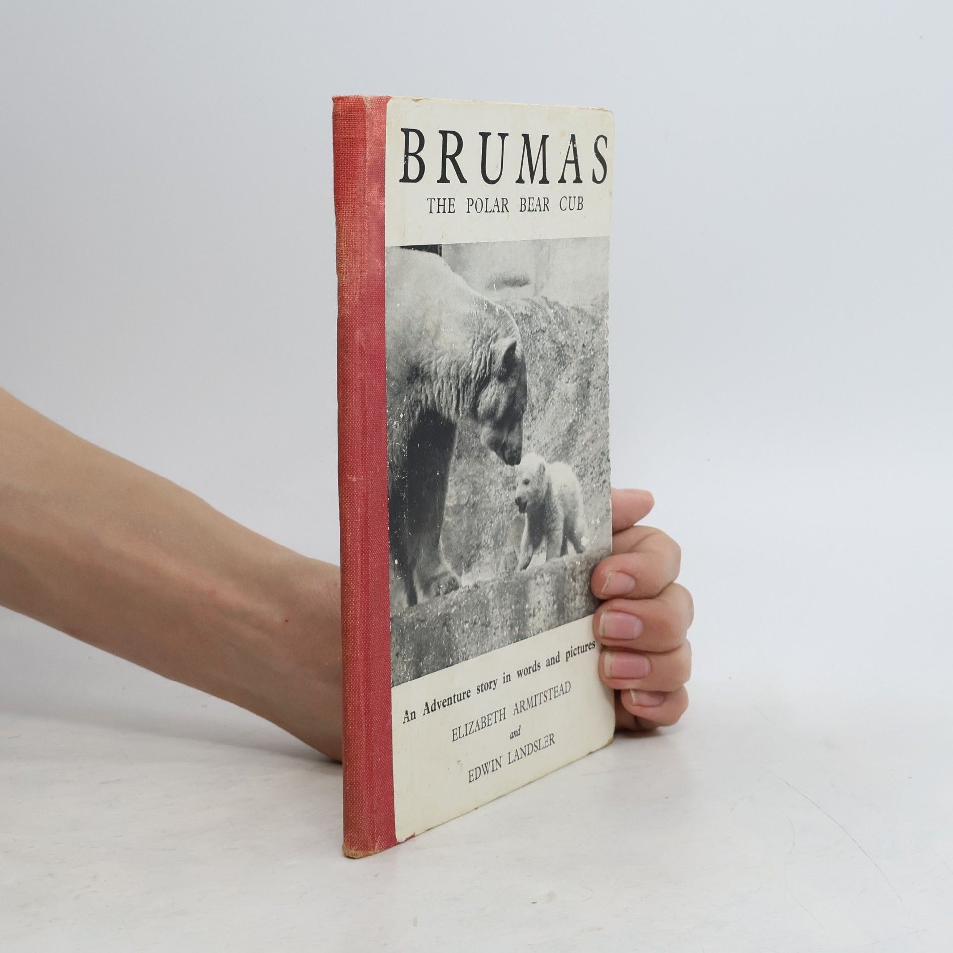 Edwin Landsler Brumas